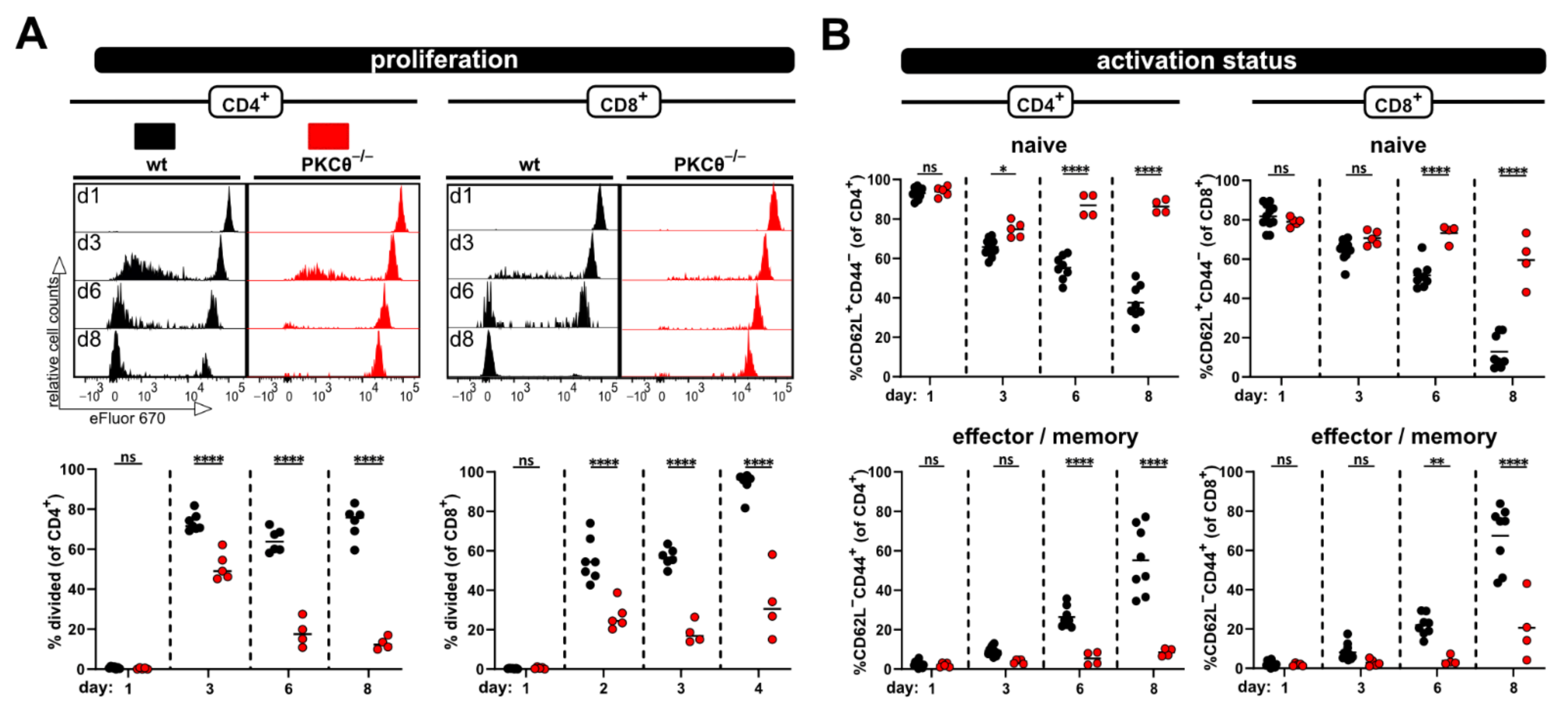Ijms 23 05337 g004 550