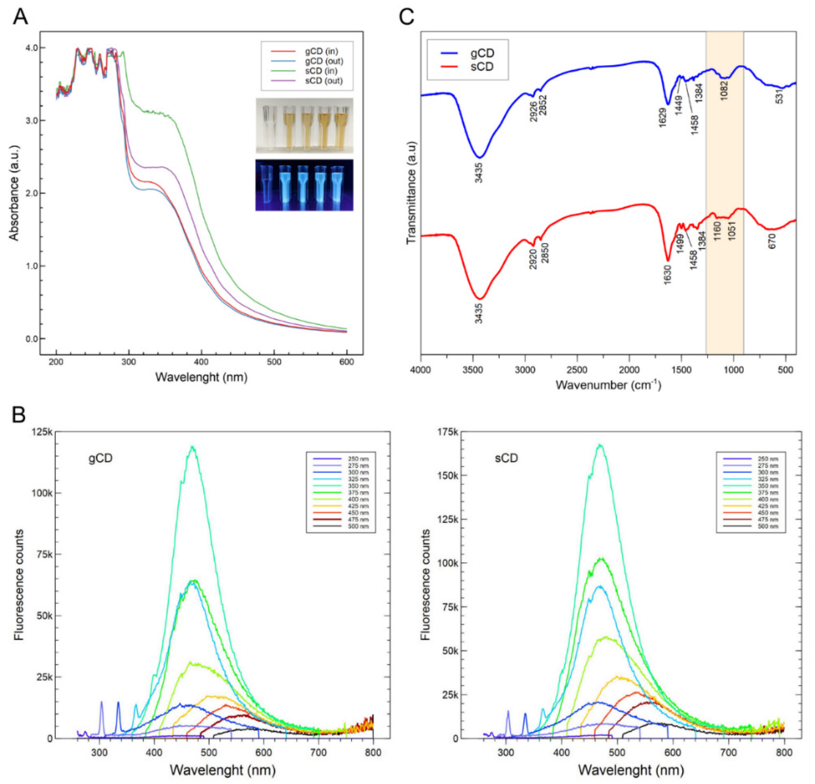 Ijms 23 05338 g001 550