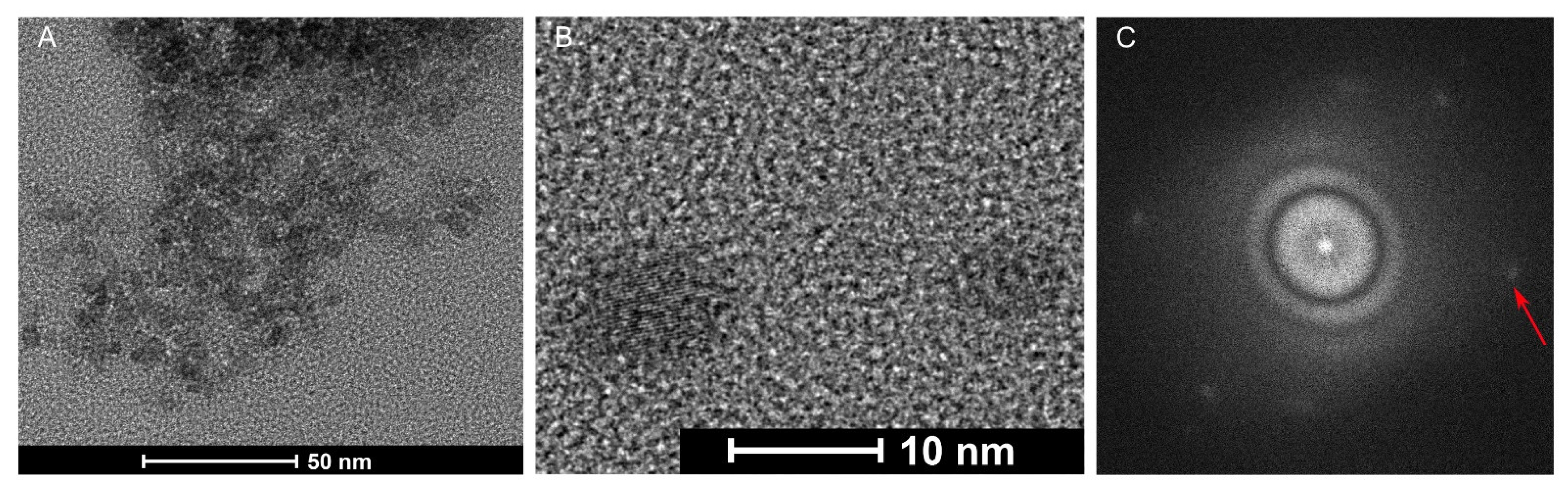 Ijms 23 05338 g004 550