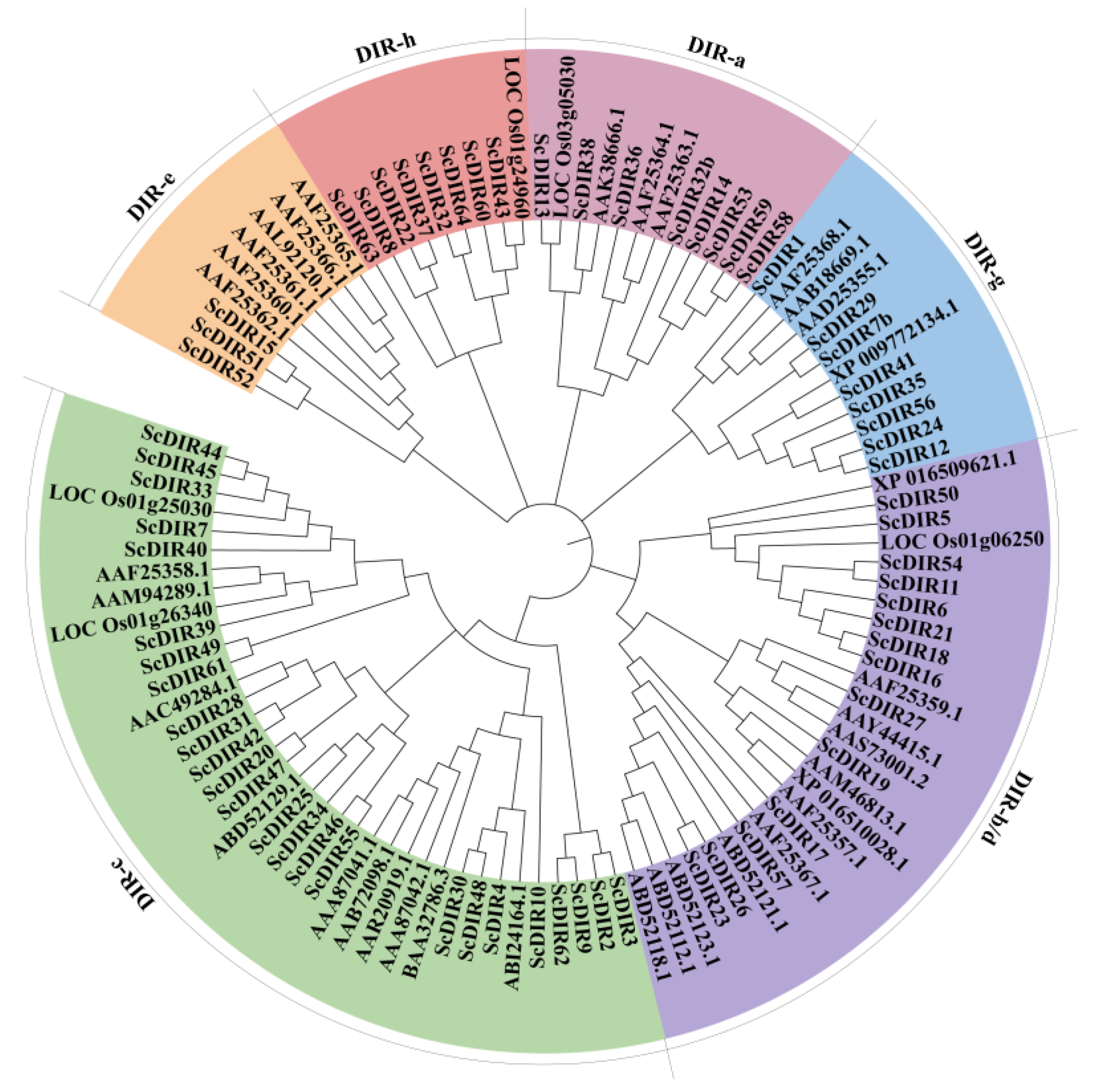 Ijms 23 05340 g001 550