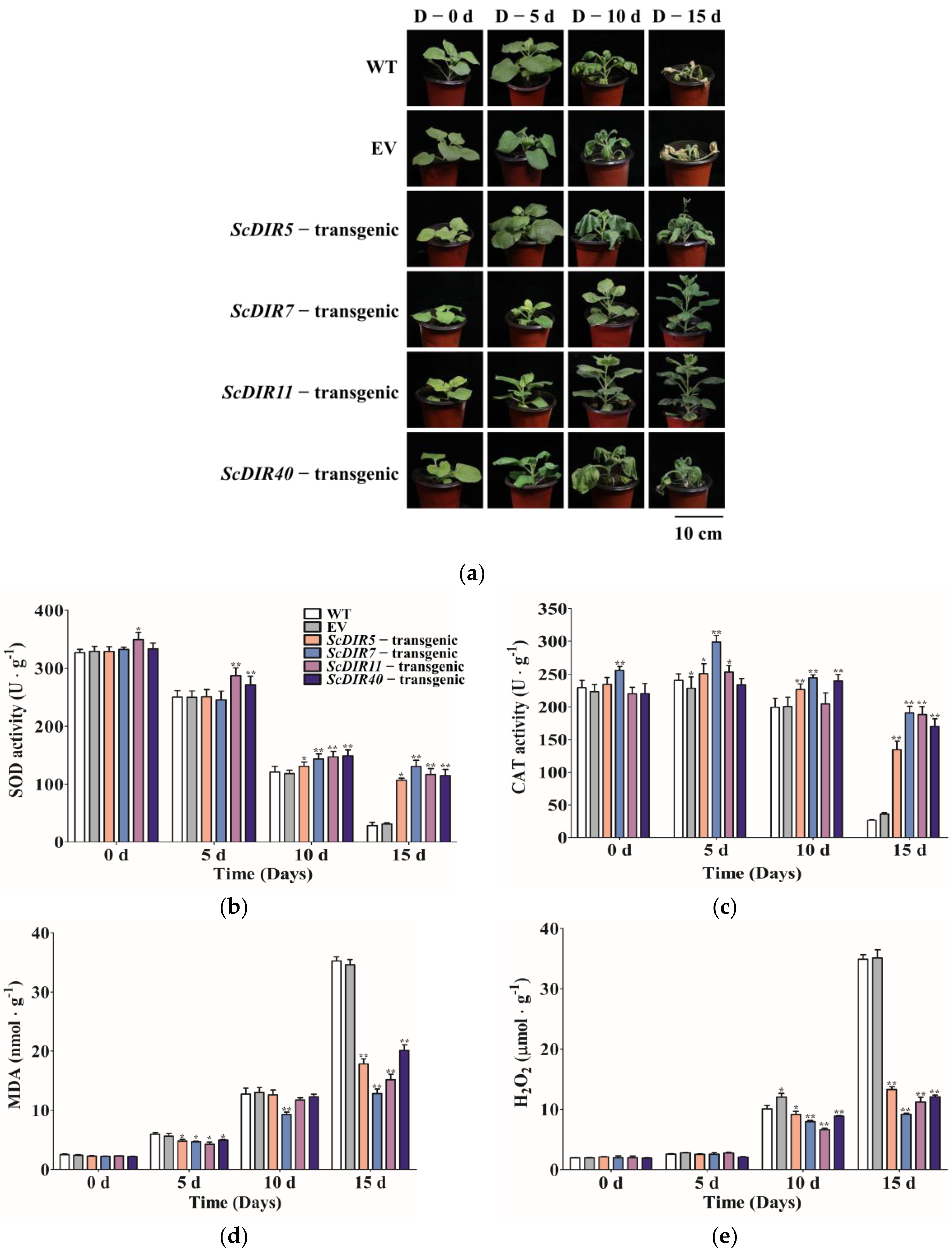 Ijms 23 05340 g007 550