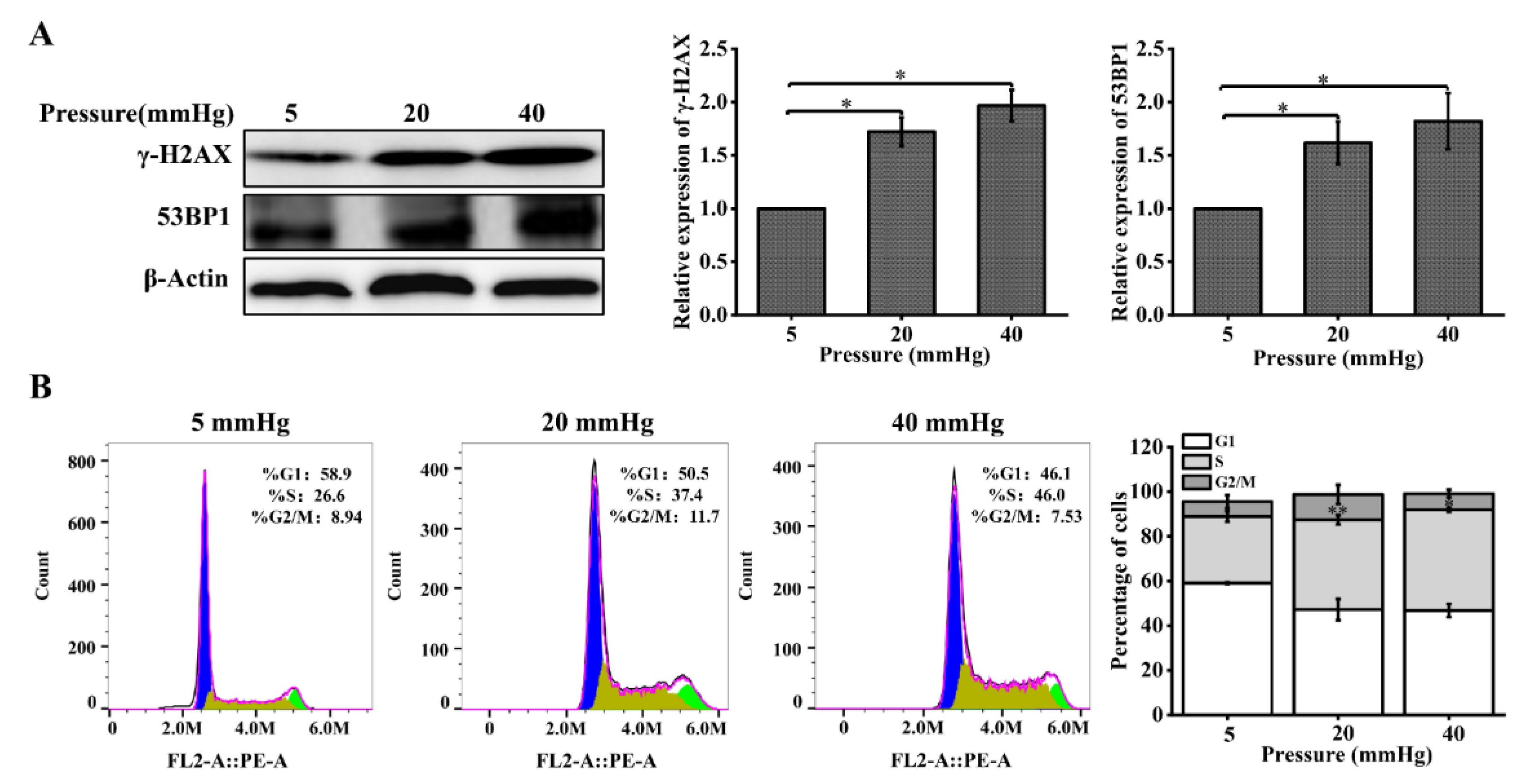 Ijms 23 05342 g002 550