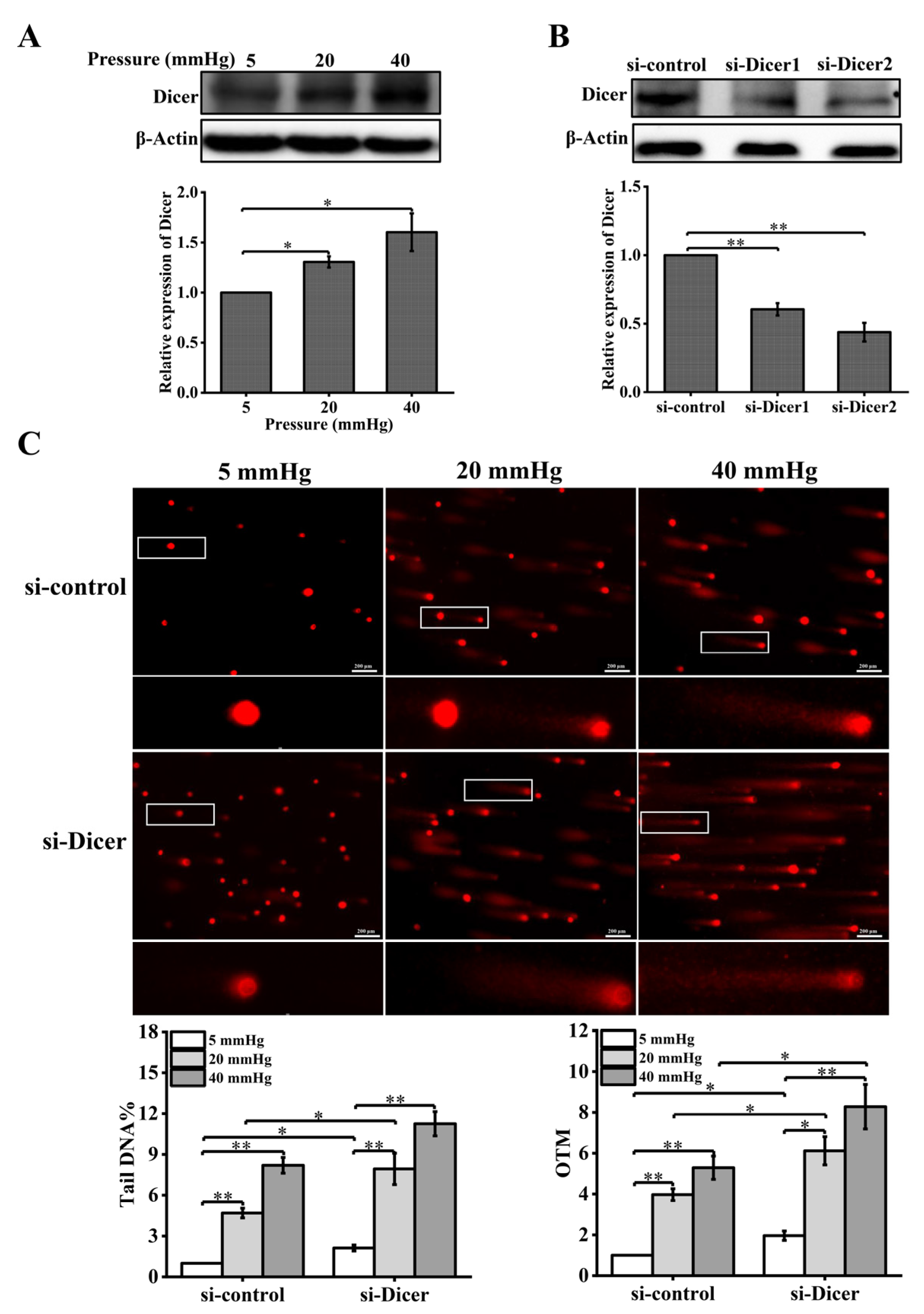 Ijms 23 05342 g003 550