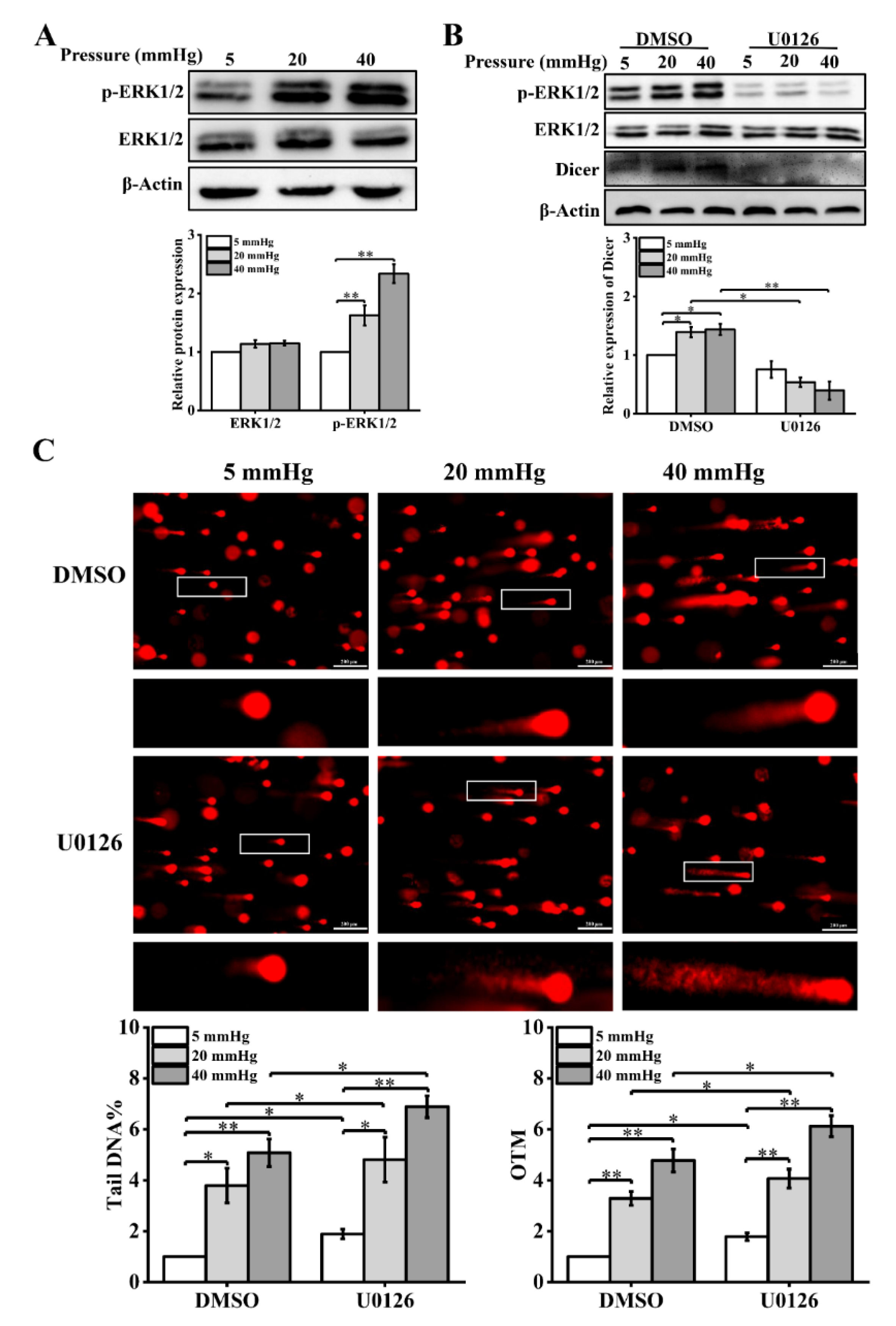 Ijms 23 05342 g005 550