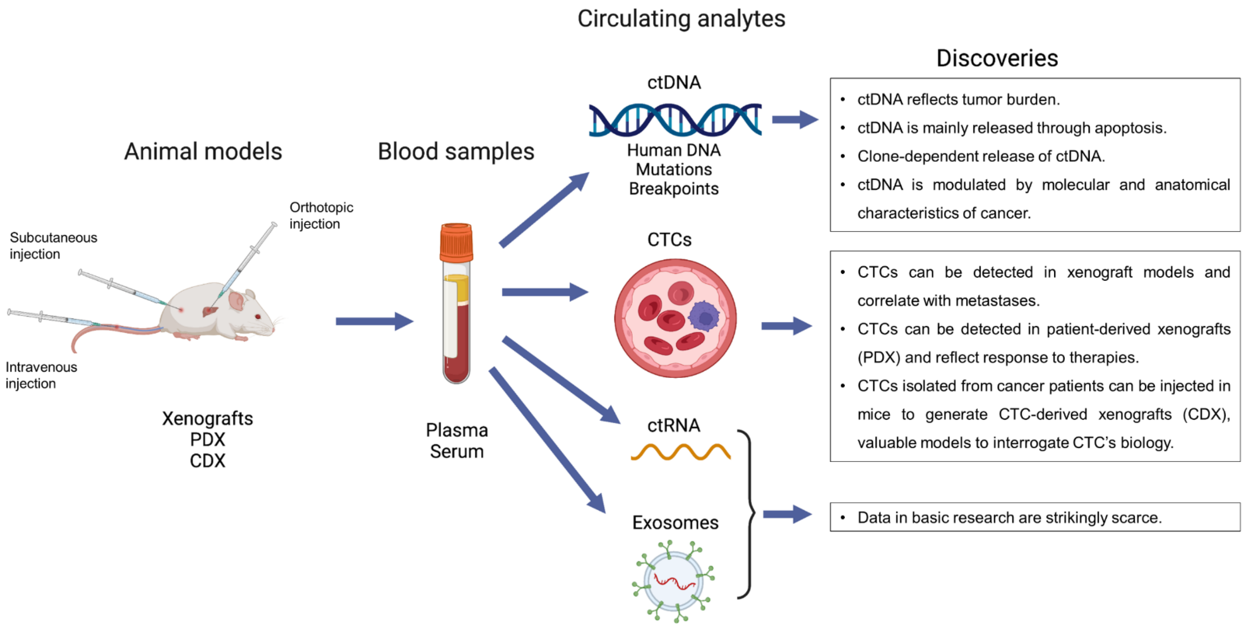 Ijms 23 05343 g001 550