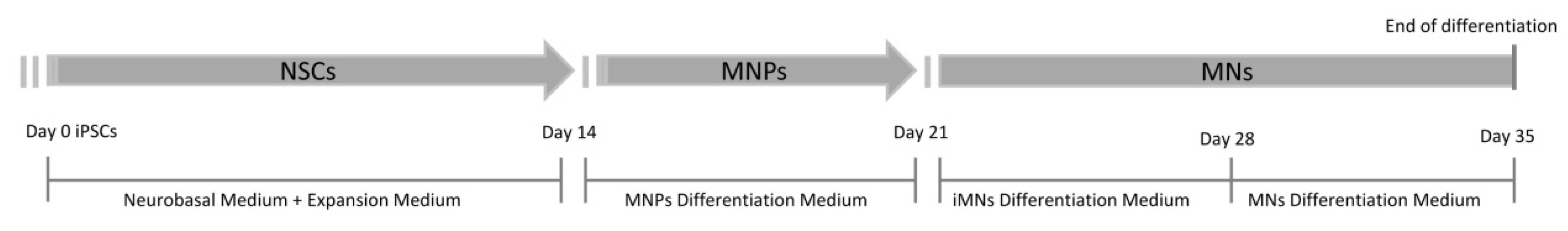 Ijms 23 05344 g006 550