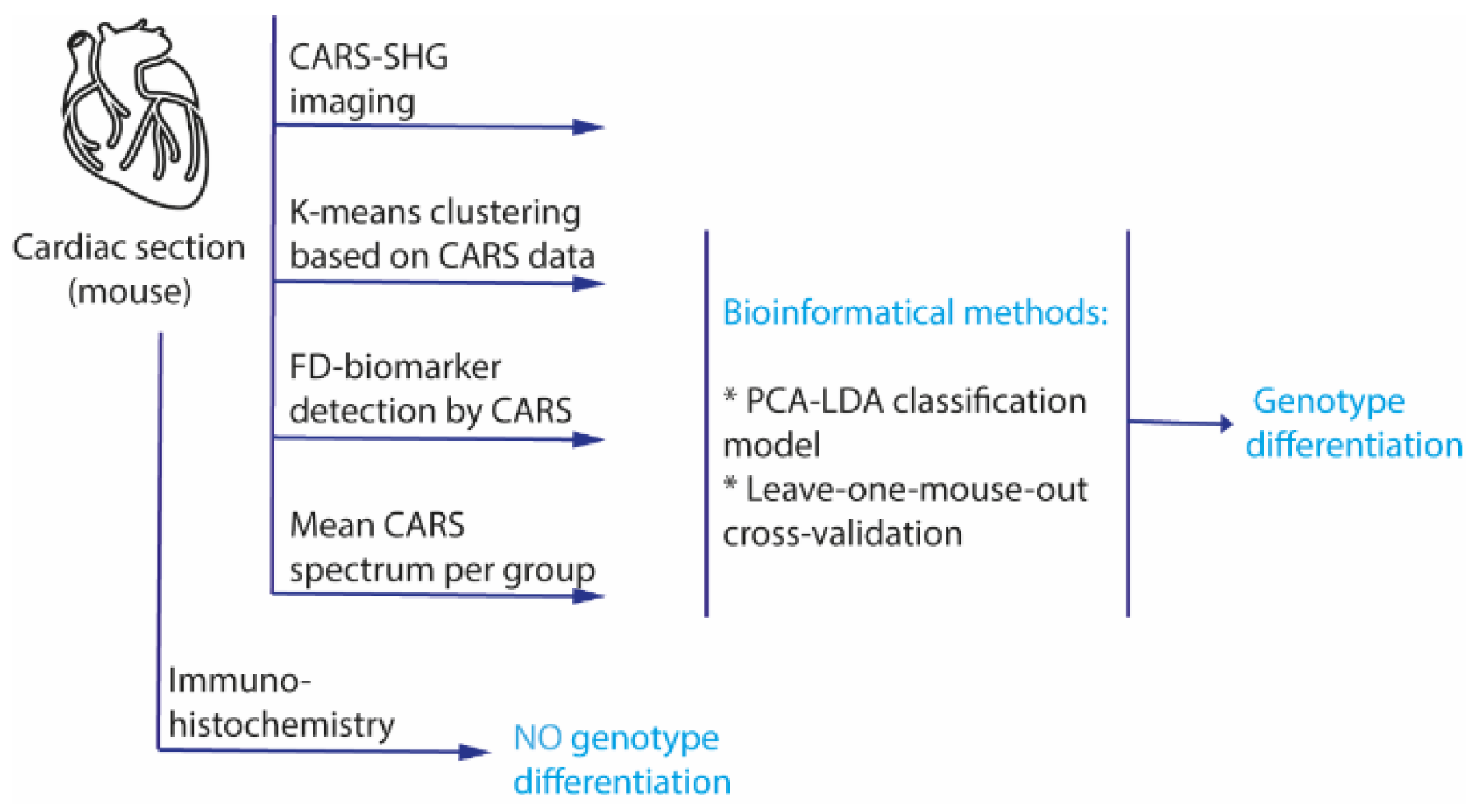 Ijms 23 05345 g001 550