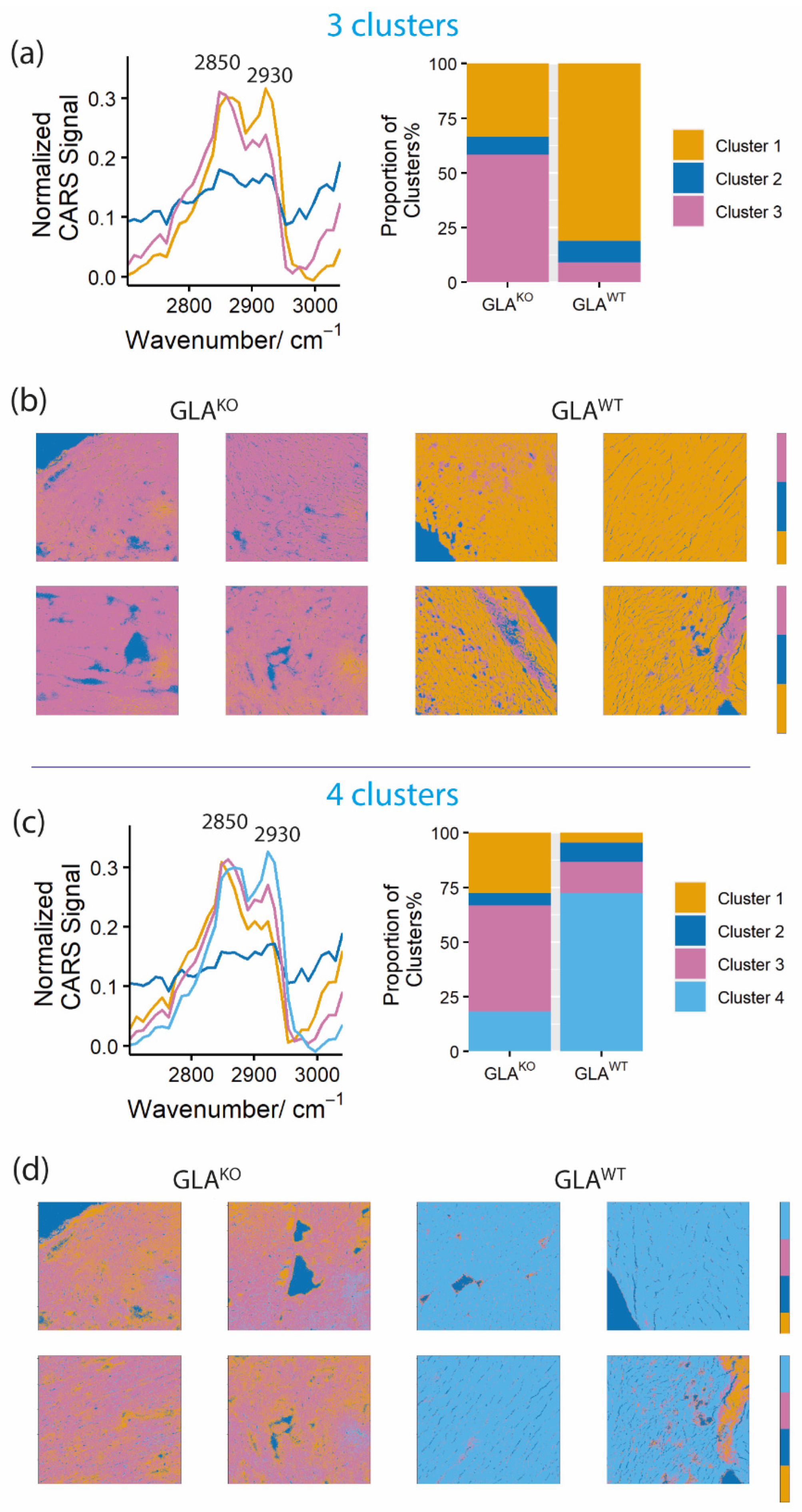 Ijms 23 05345 g003 550