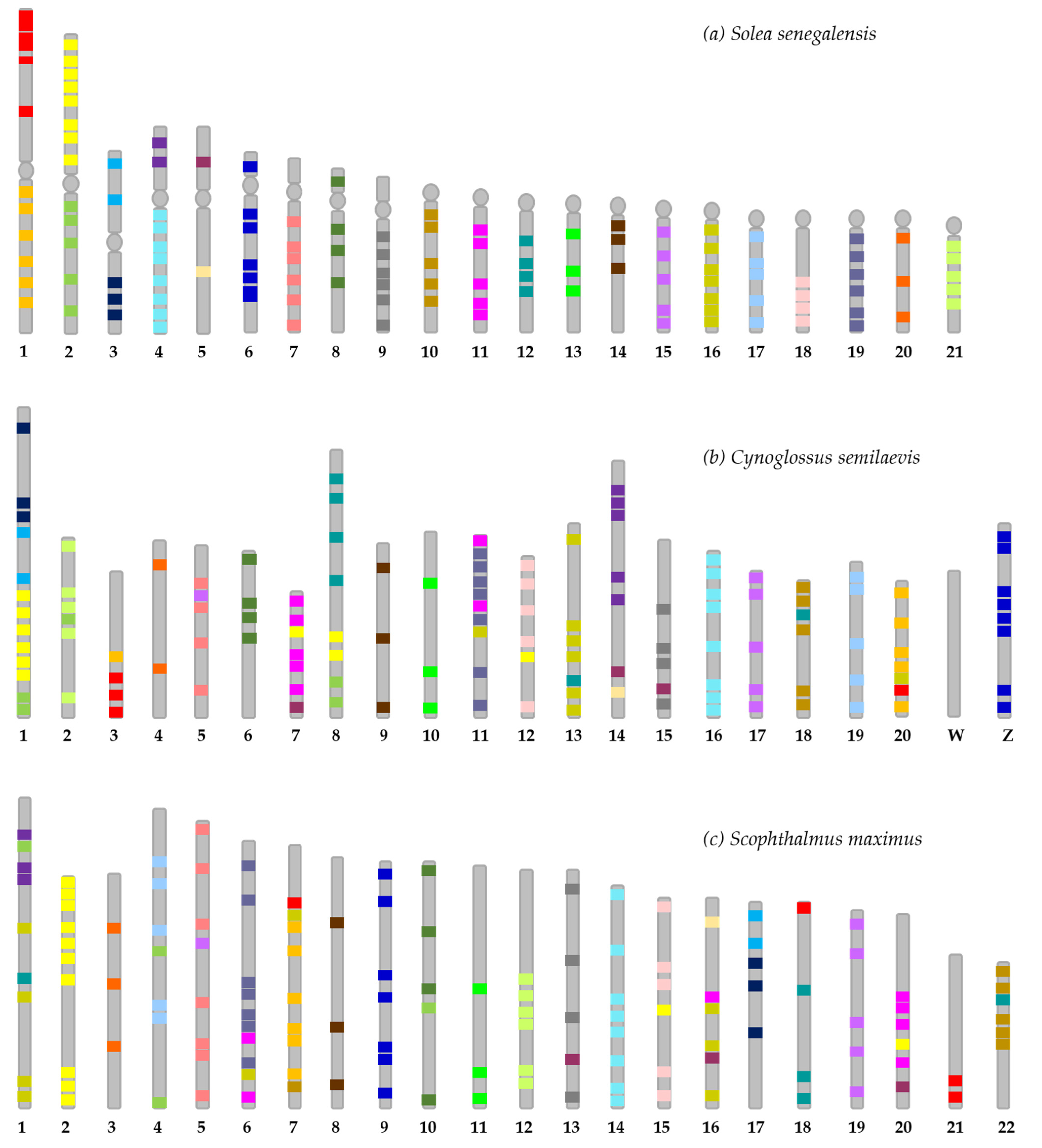 Ijms 23 05353 g002 550