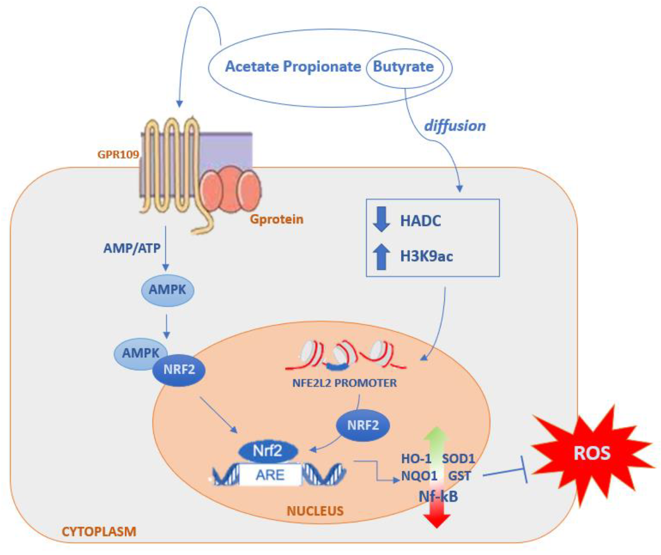 Ijms 23 05354 g002 Ijms 23 05354 g002