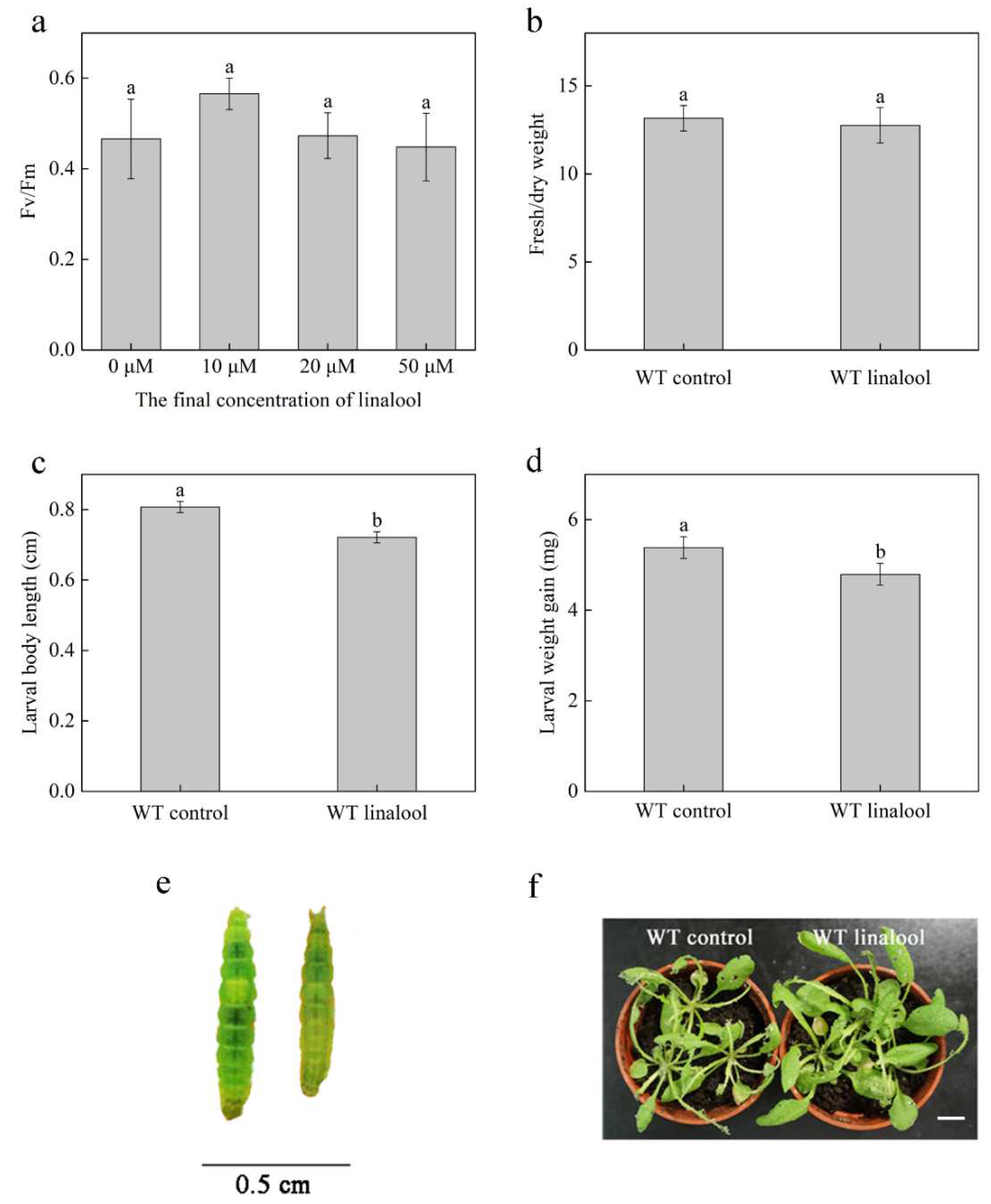 Ijms 23 05357 g001 550
