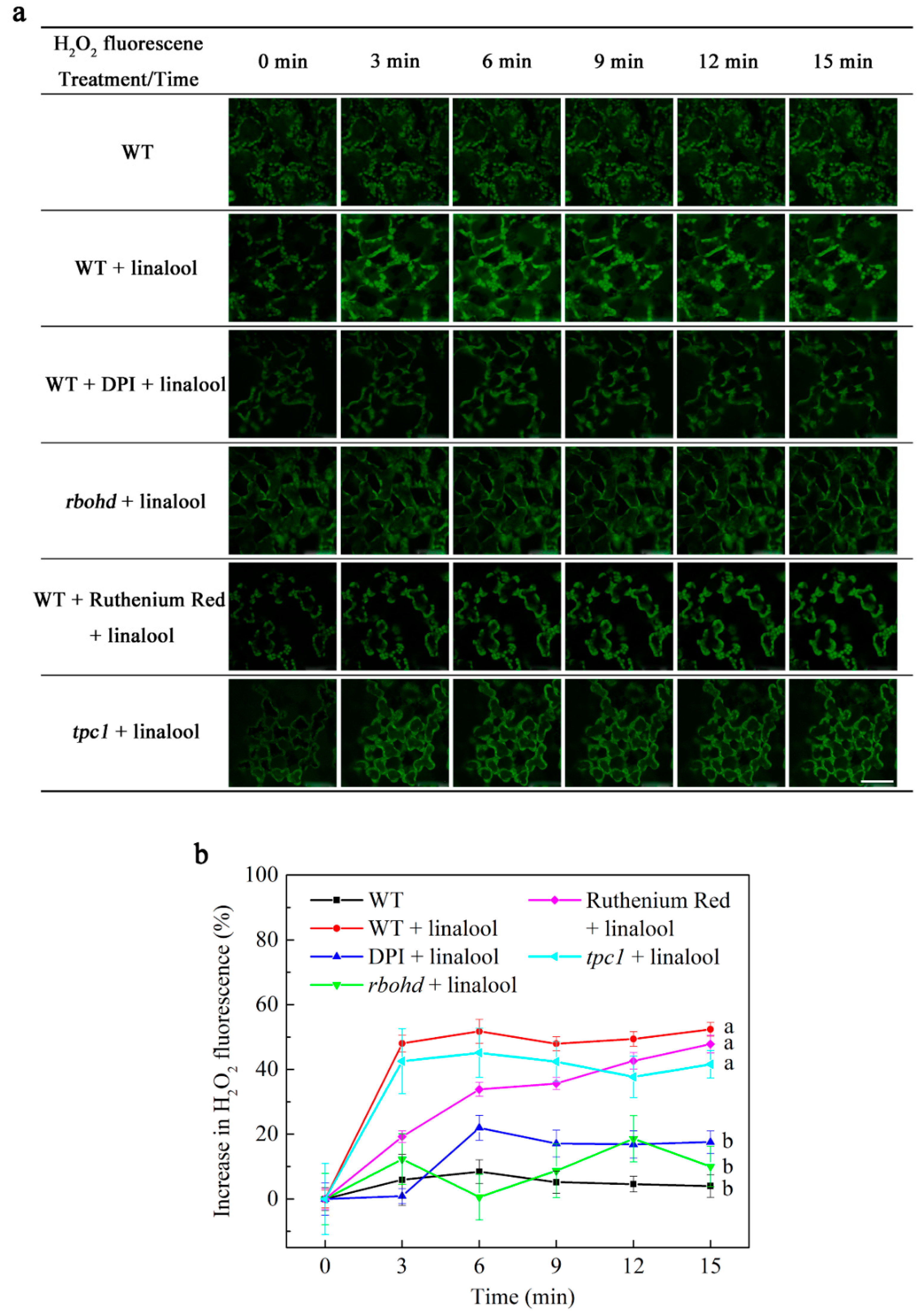 Ijms 23 05357 g002 550