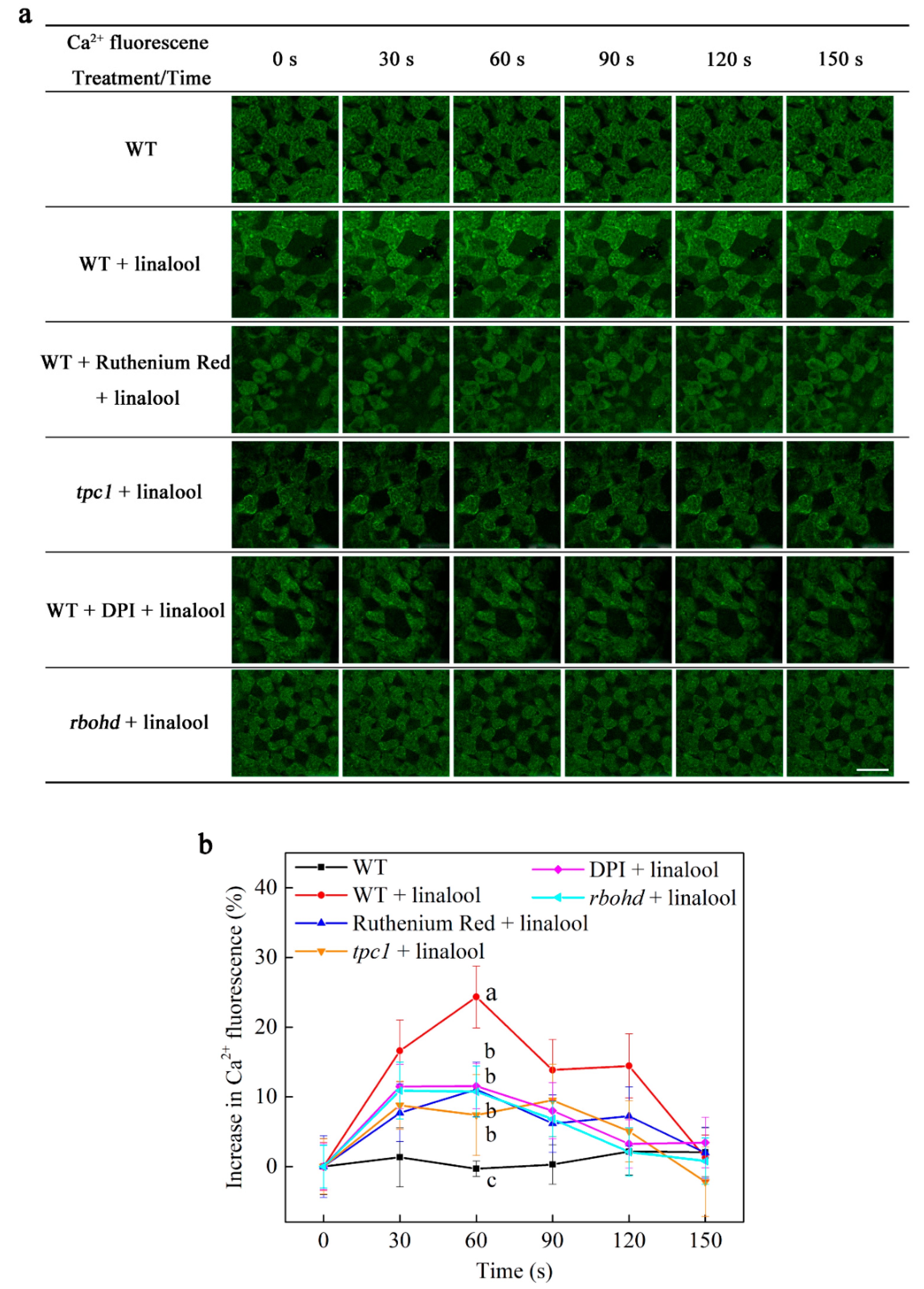 Ijms 23 05357 g003 550