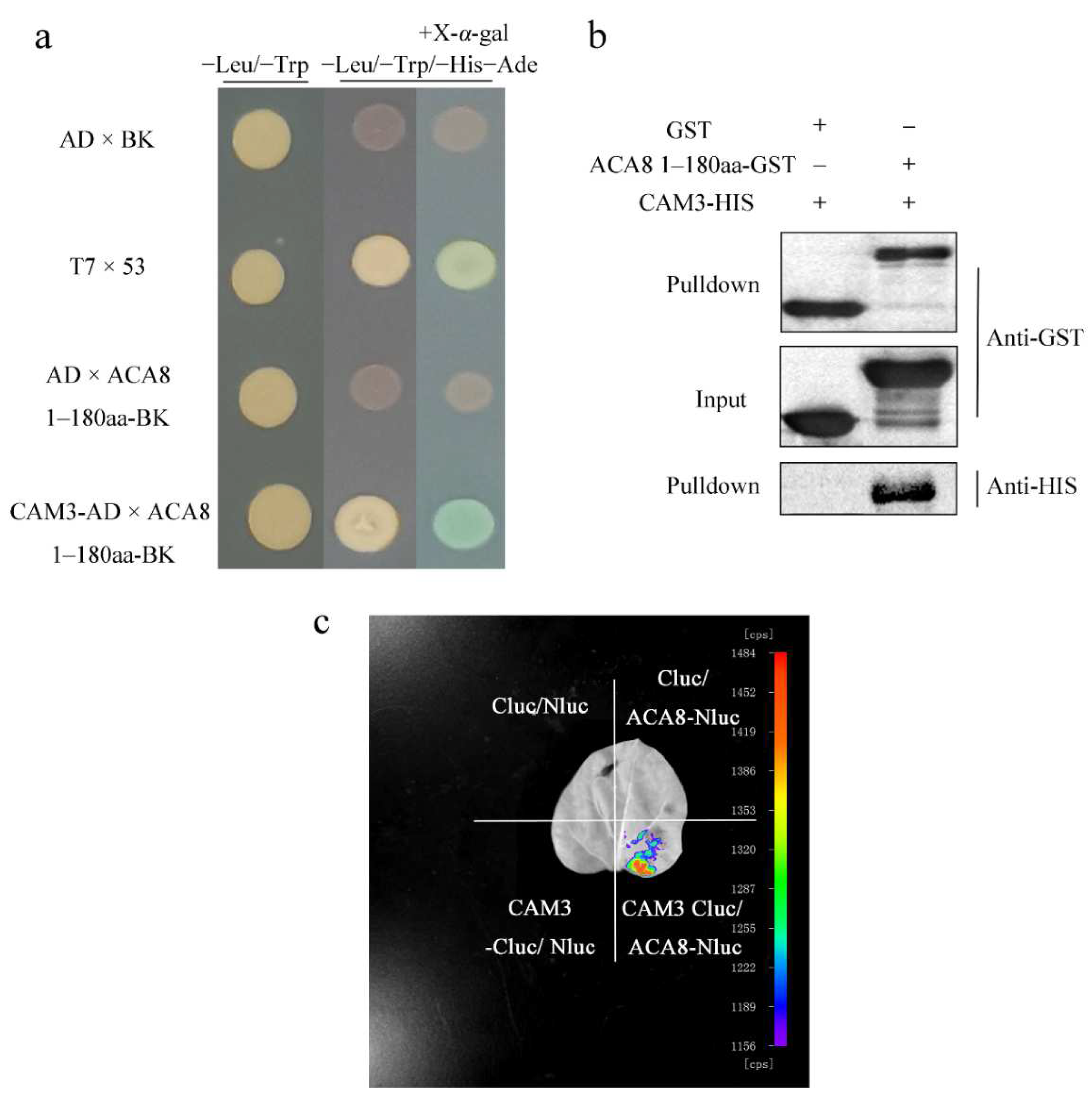 Ijms 23 05357 g005 550