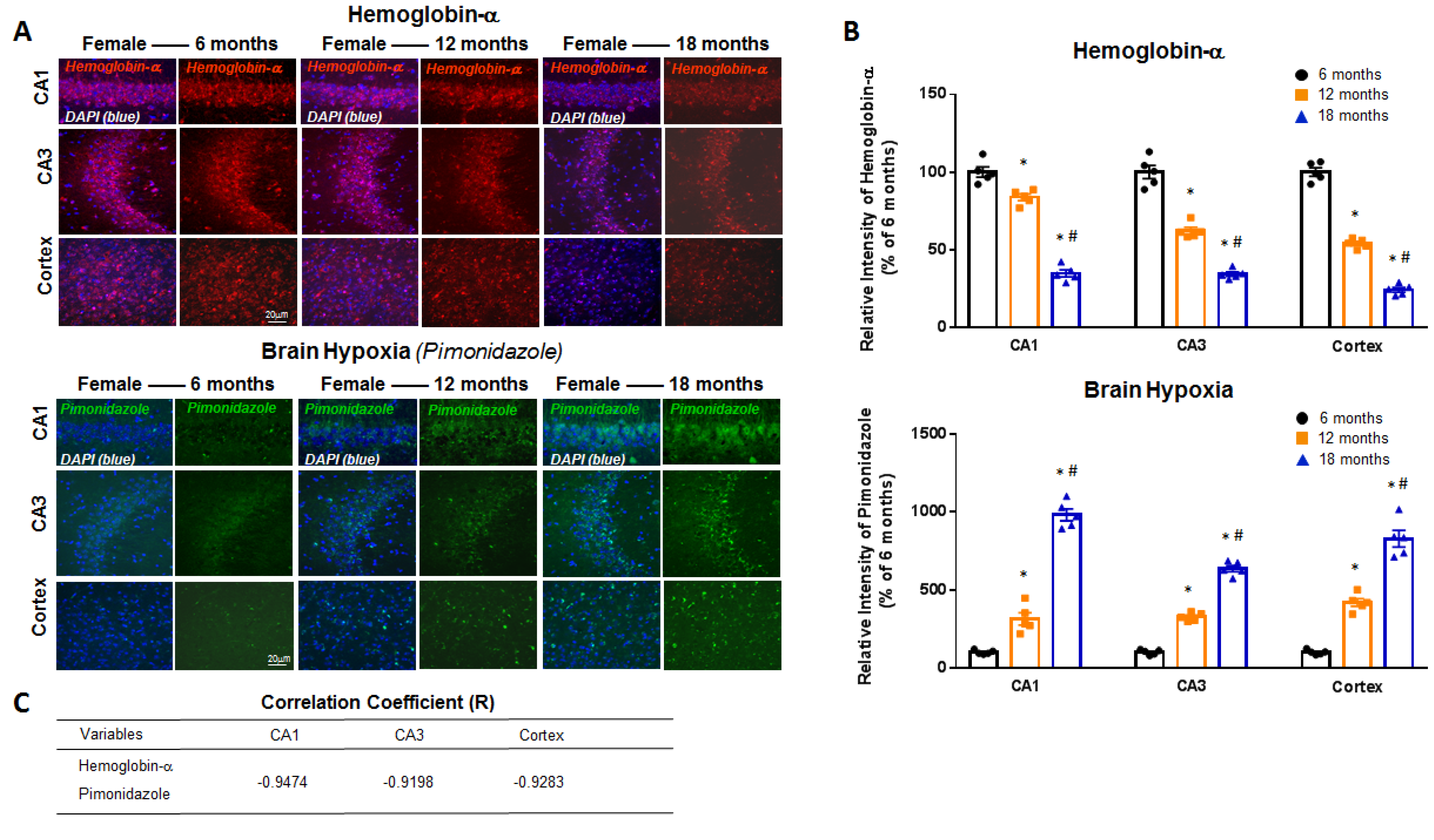 Ijms 23 05360 g002 550