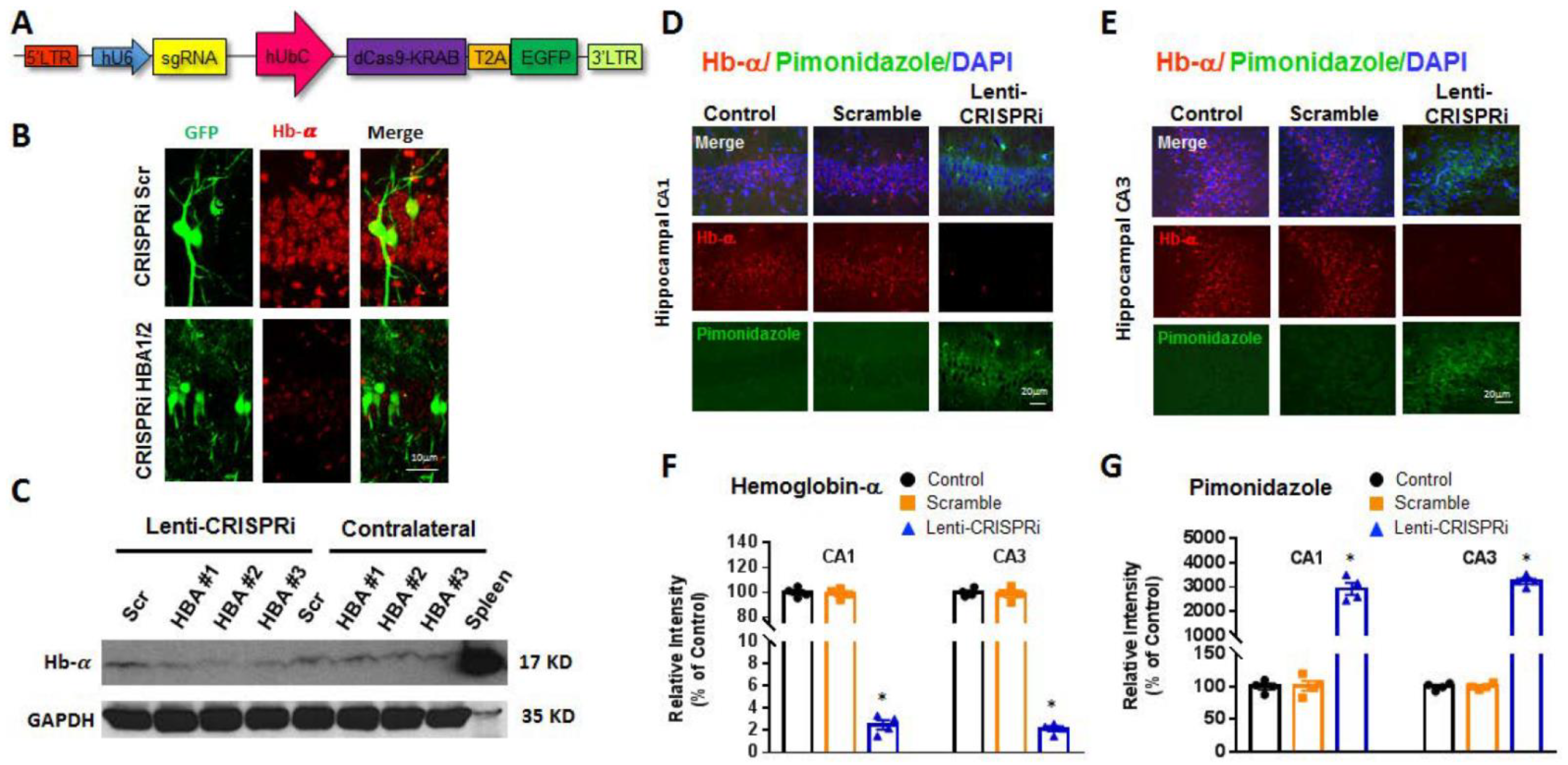 Ijms 23 05360 g005 550