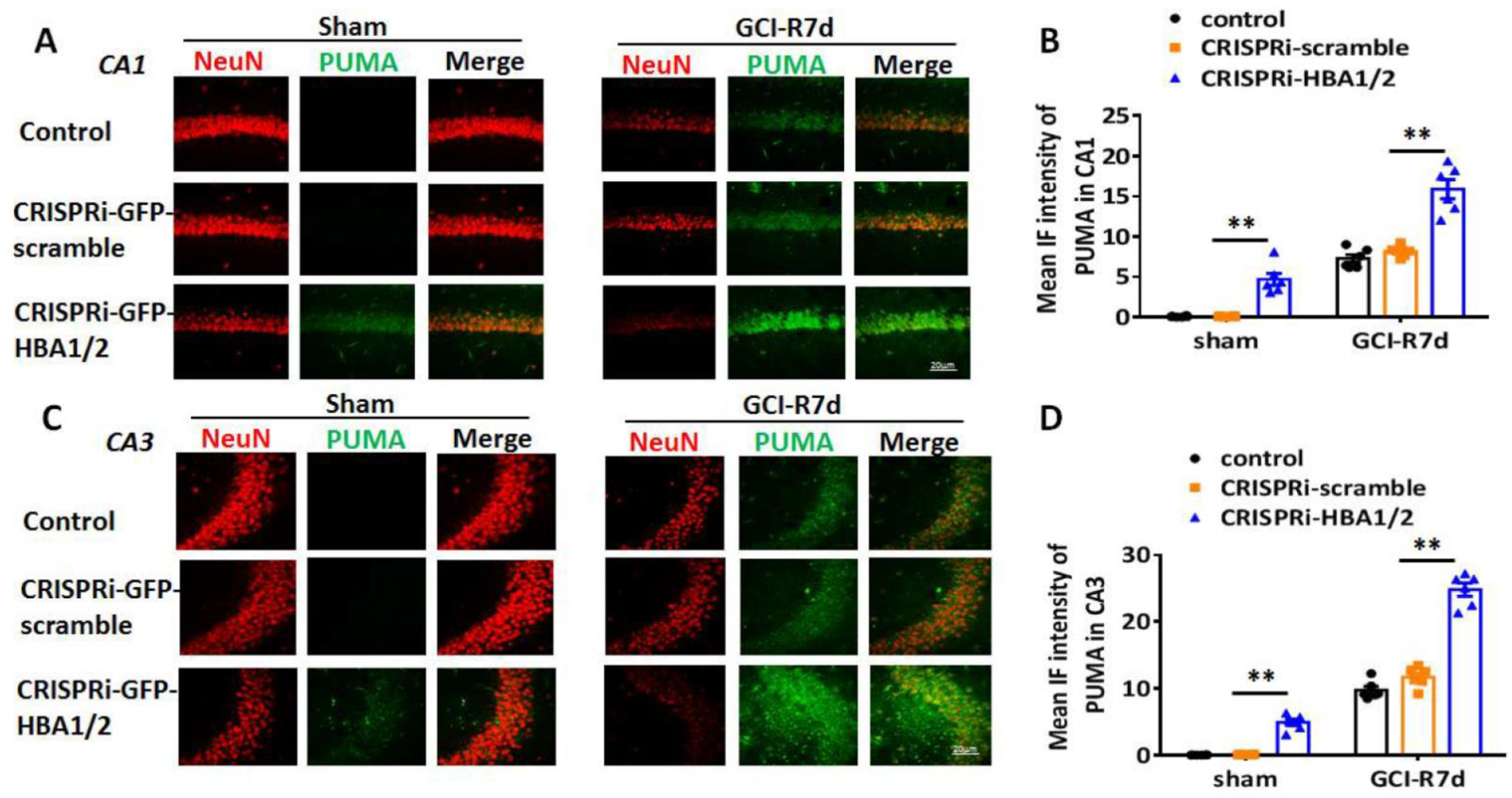 Ijms 23 05360 g007 550