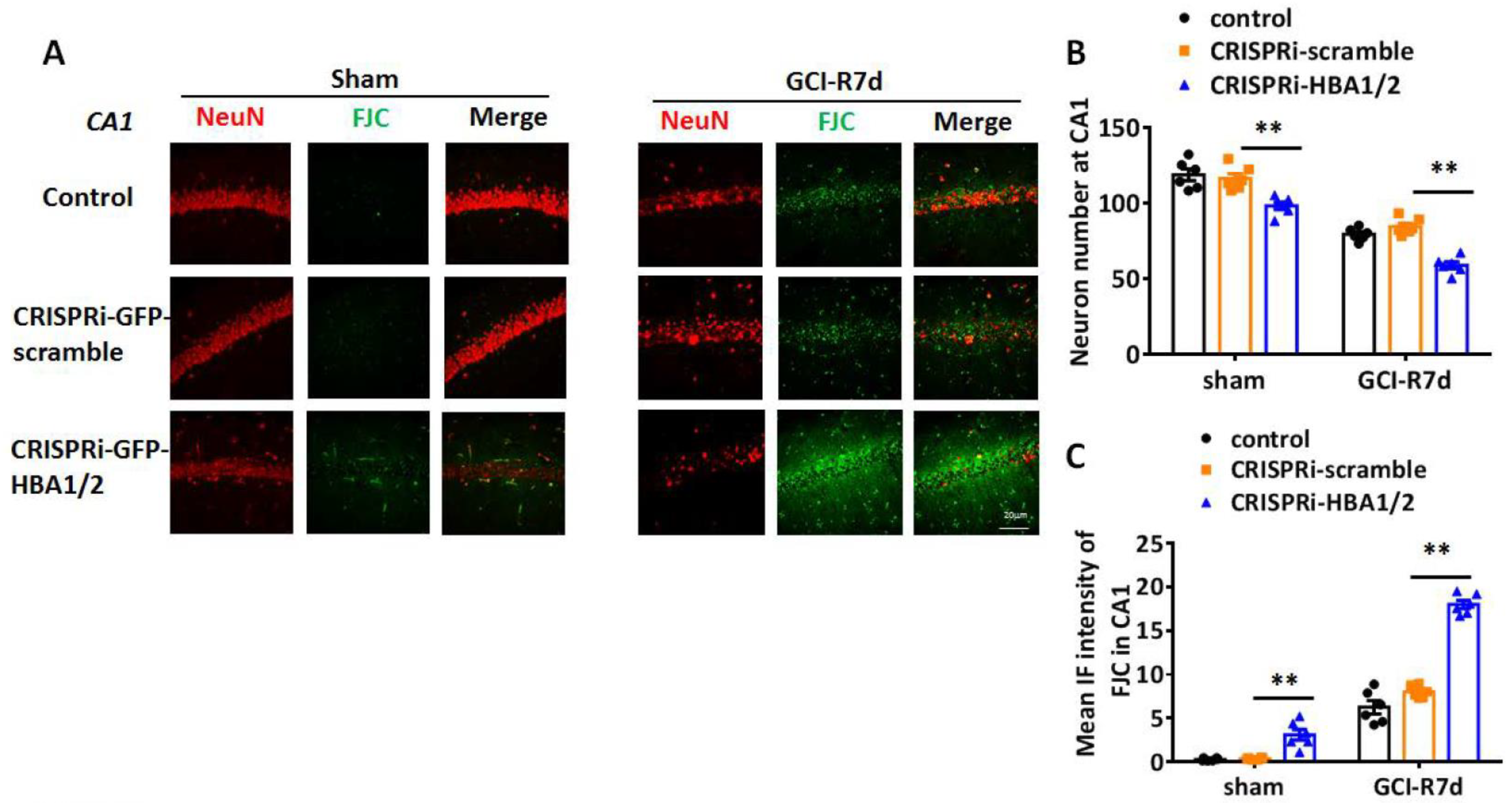 Ijms 23 05360 g009 550