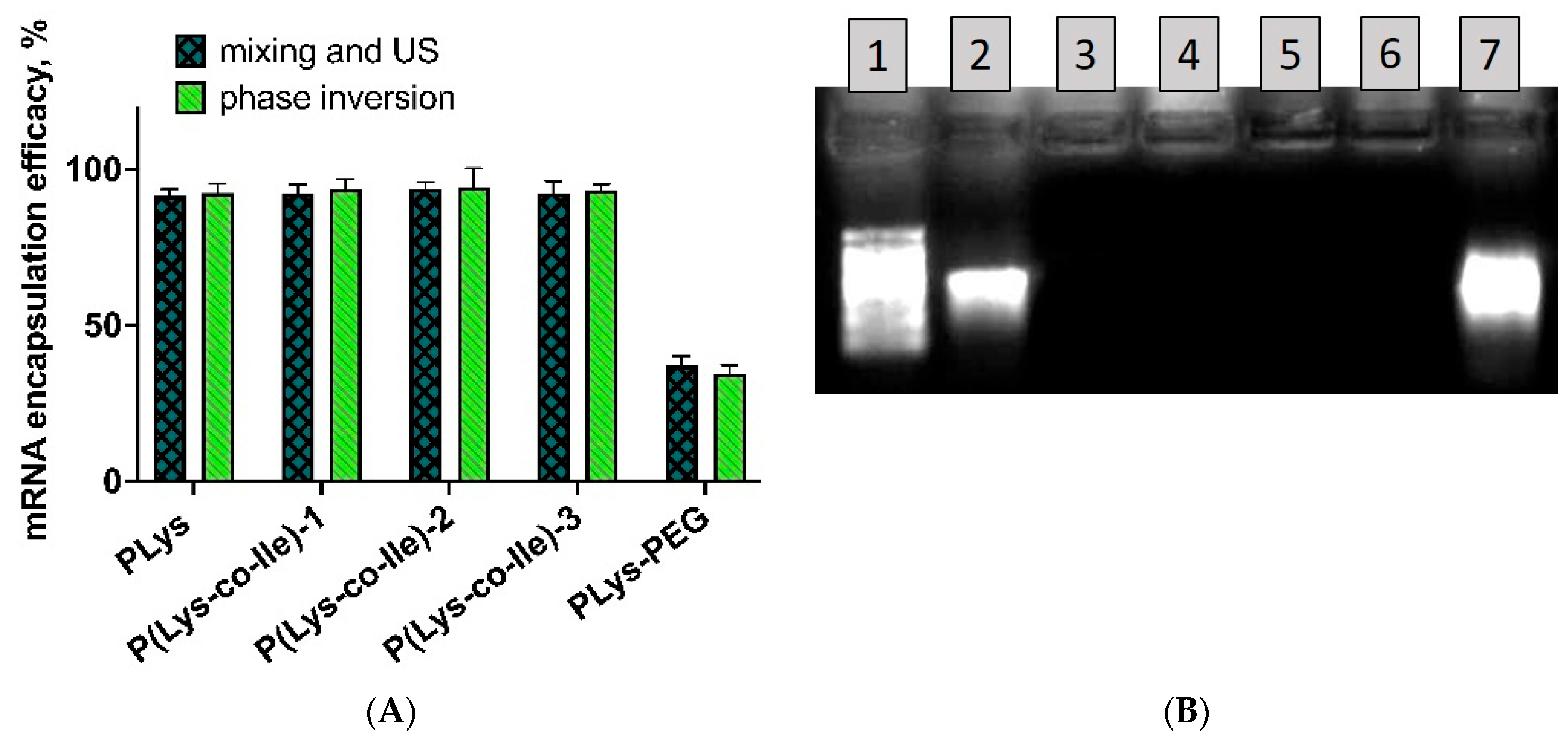 Ijms 23 05363 g007 550
