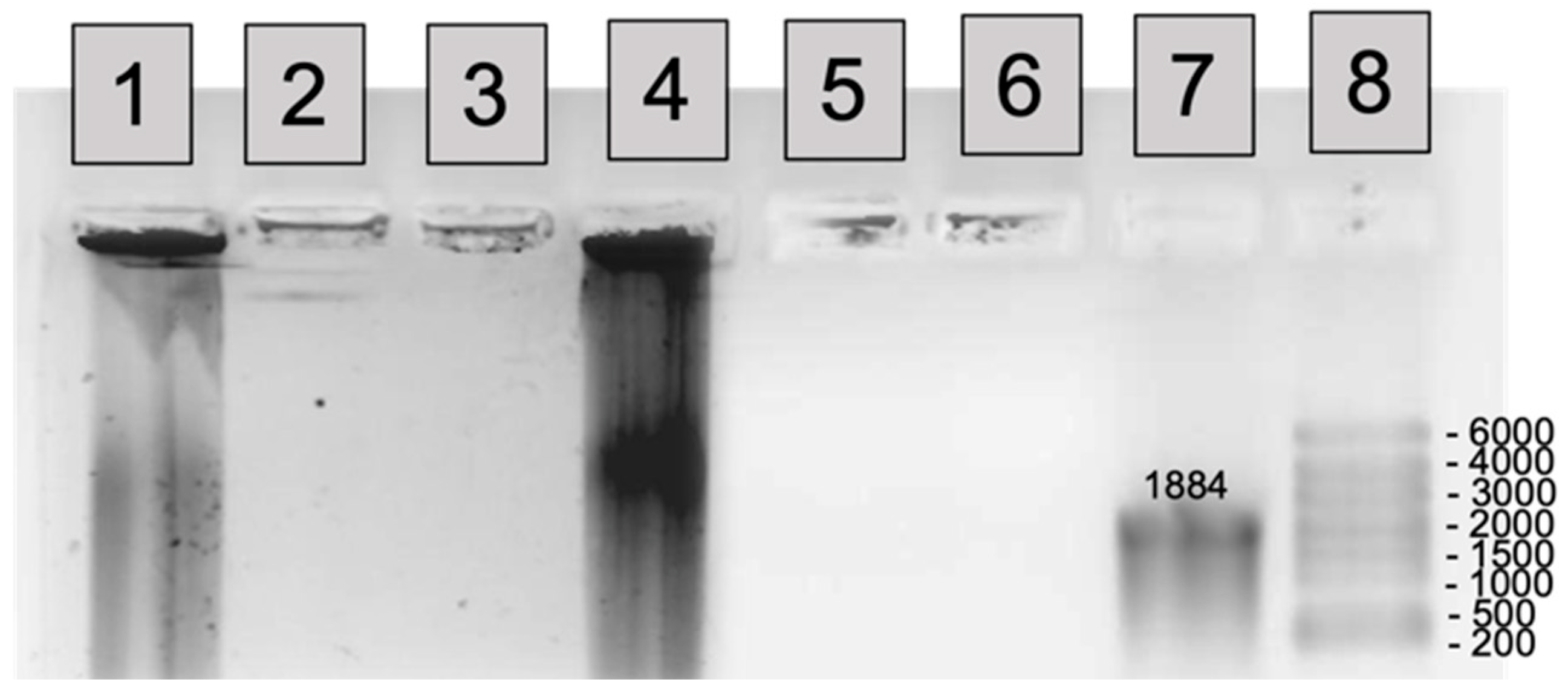 Ijms 23 05363 g008 550