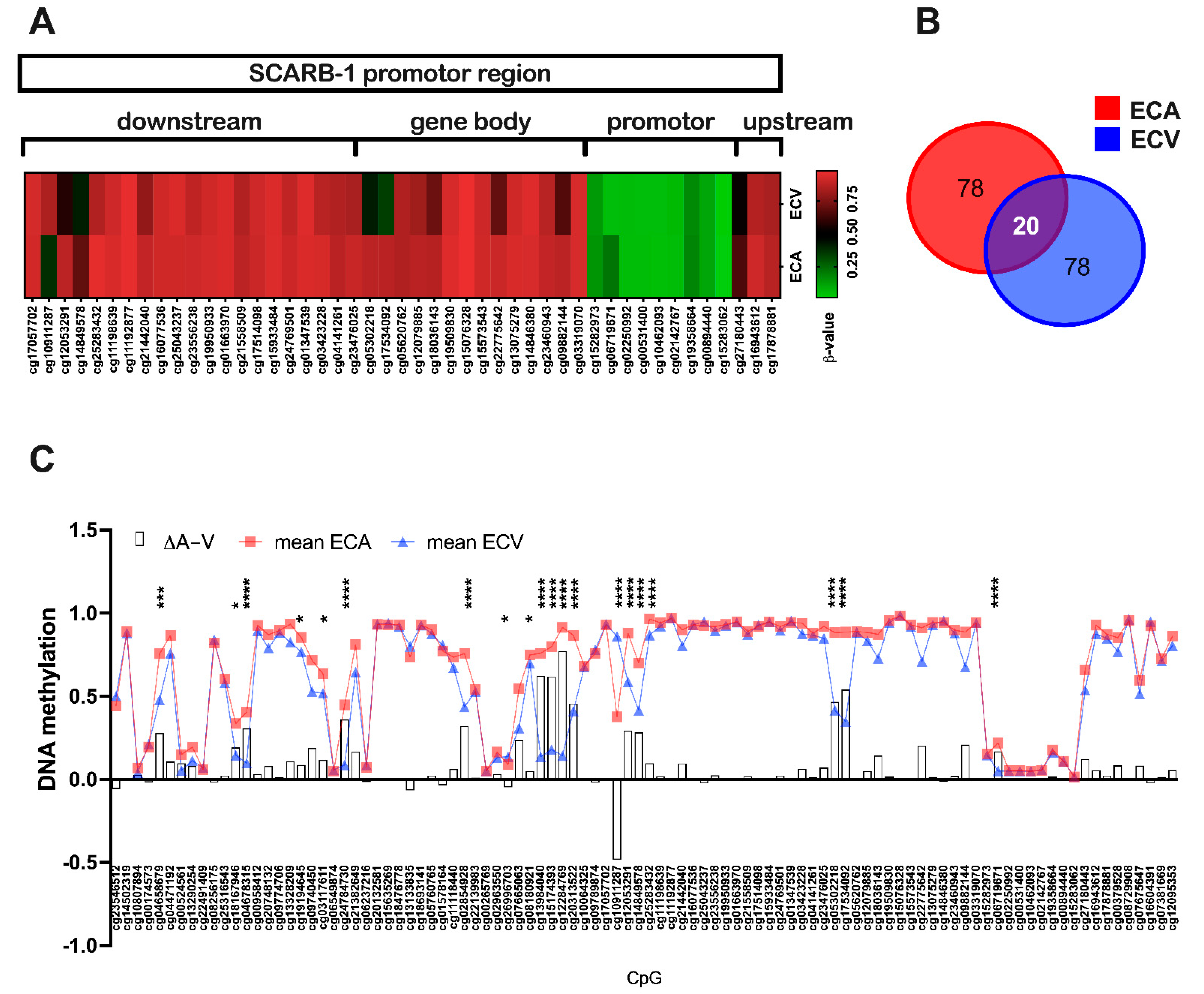 Ijms 23 05364 g003 Ijms 23 05364 g003