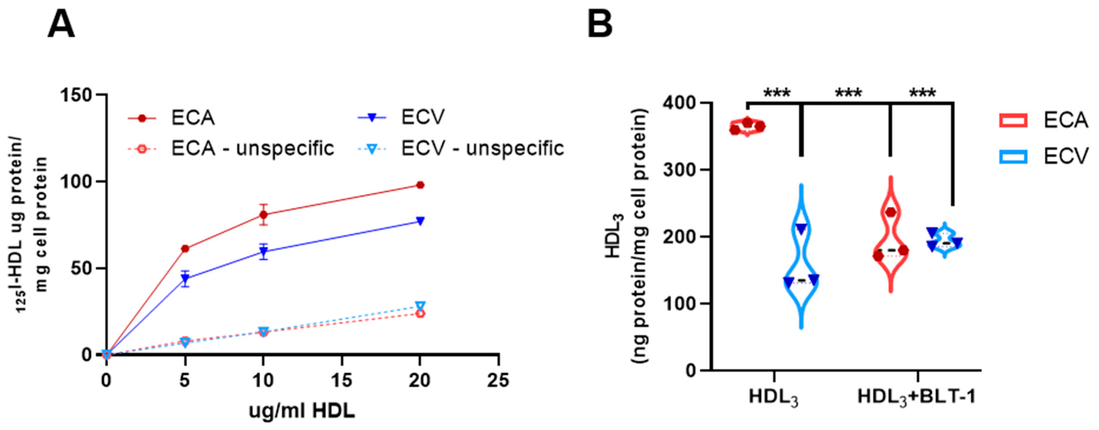 Ijms 23 05364 g004 Ijms 23 05364 g004