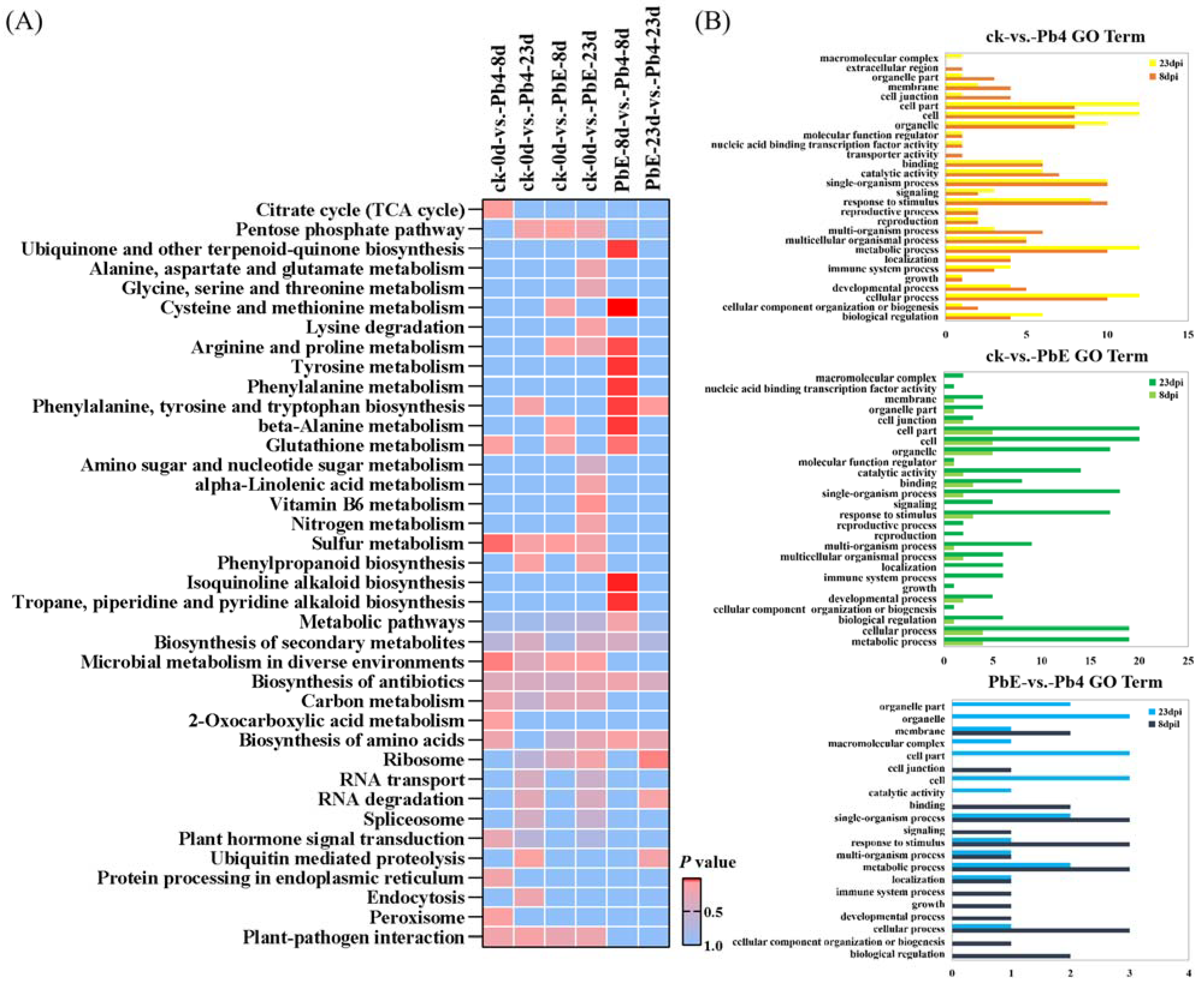 Ijms 23 05369 g004 550