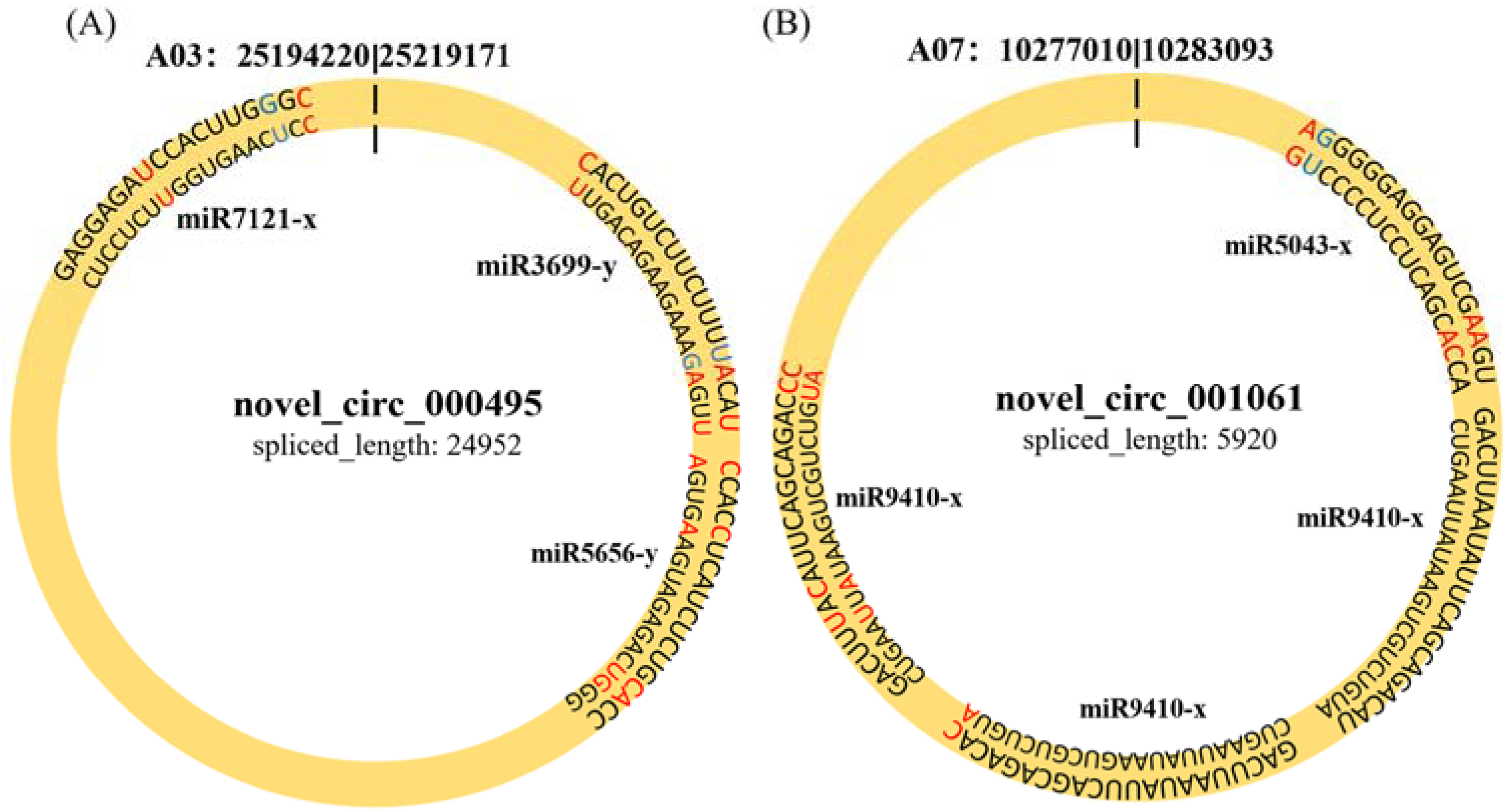 Ijms 23 05369 g005 550