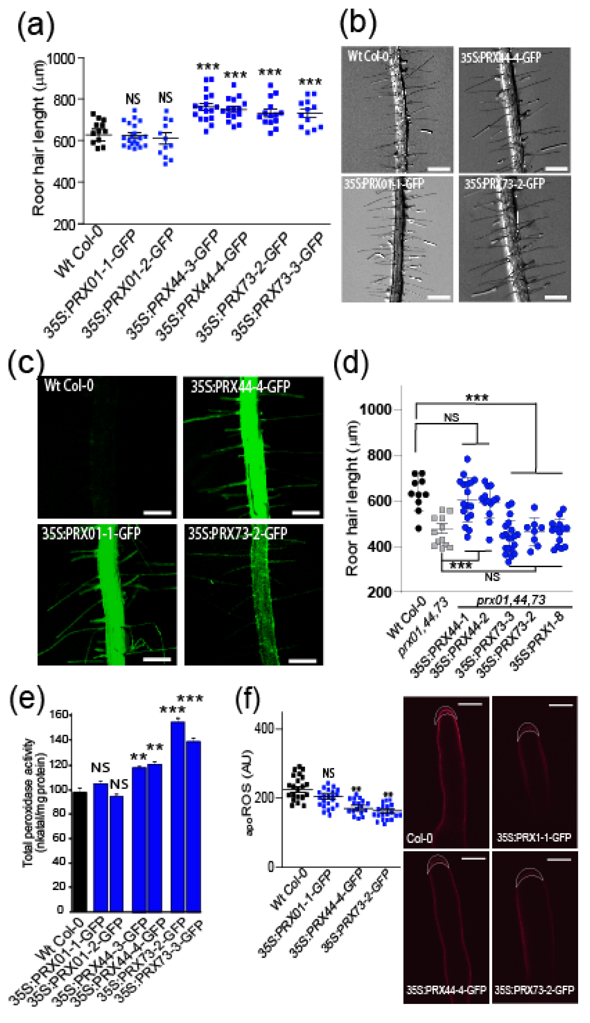 Ijms 23 05375 g002 550
