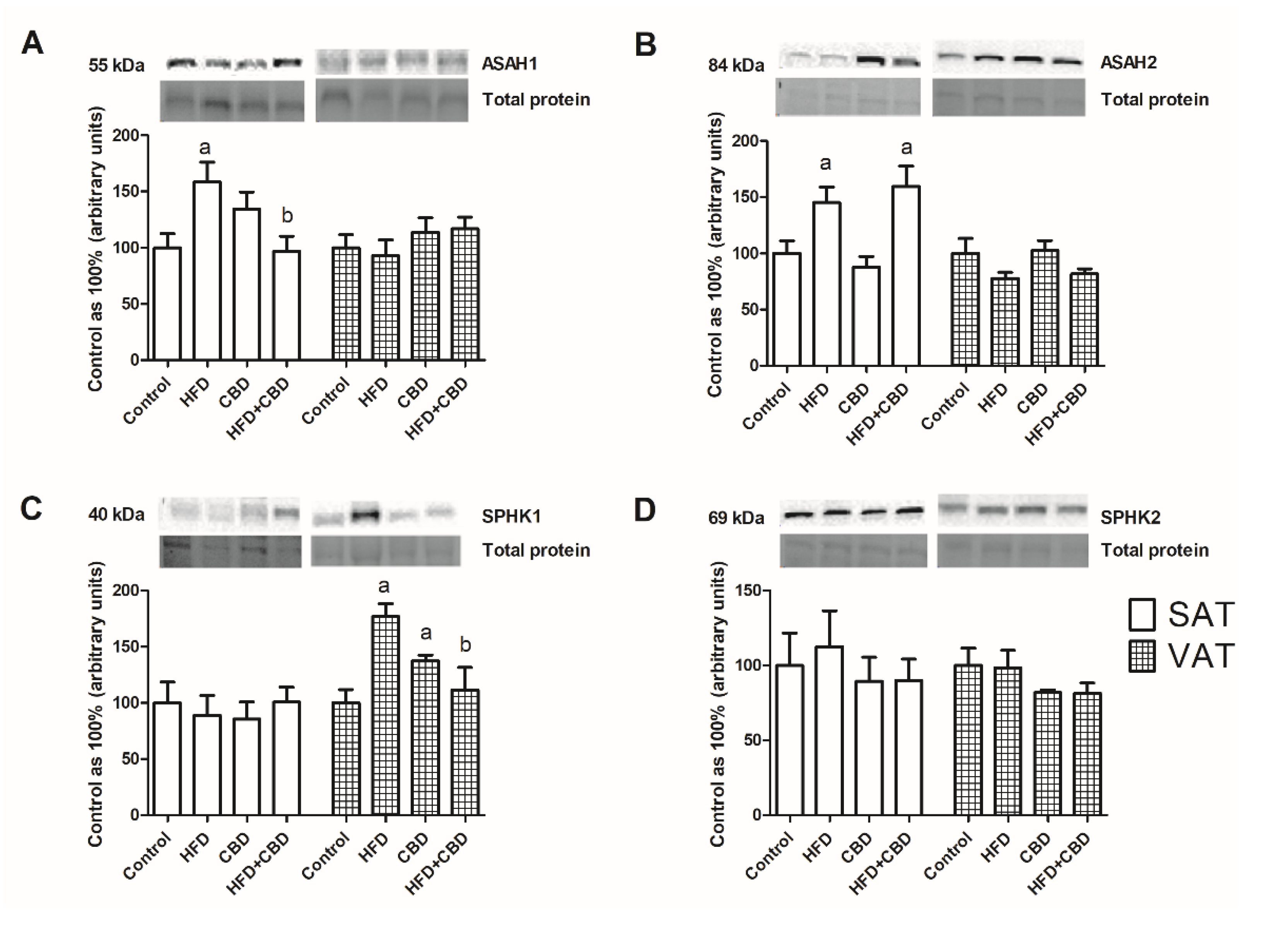 Ijms 23 05382 g004 550
