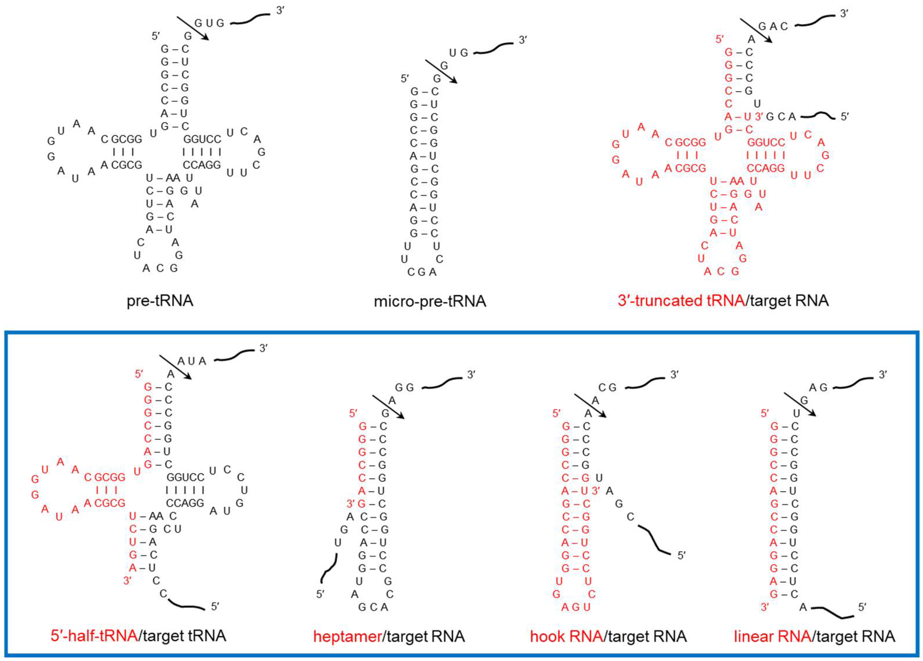 Ijms 23 05387 g001 Ijms 23 05387 g001