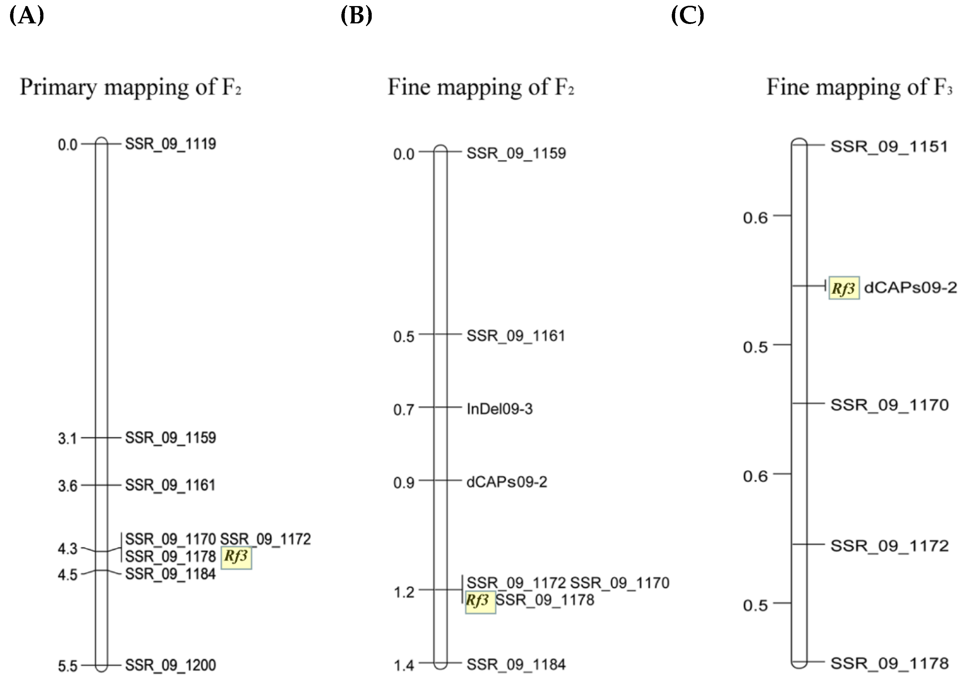 Ijms 23 05388 g003 550