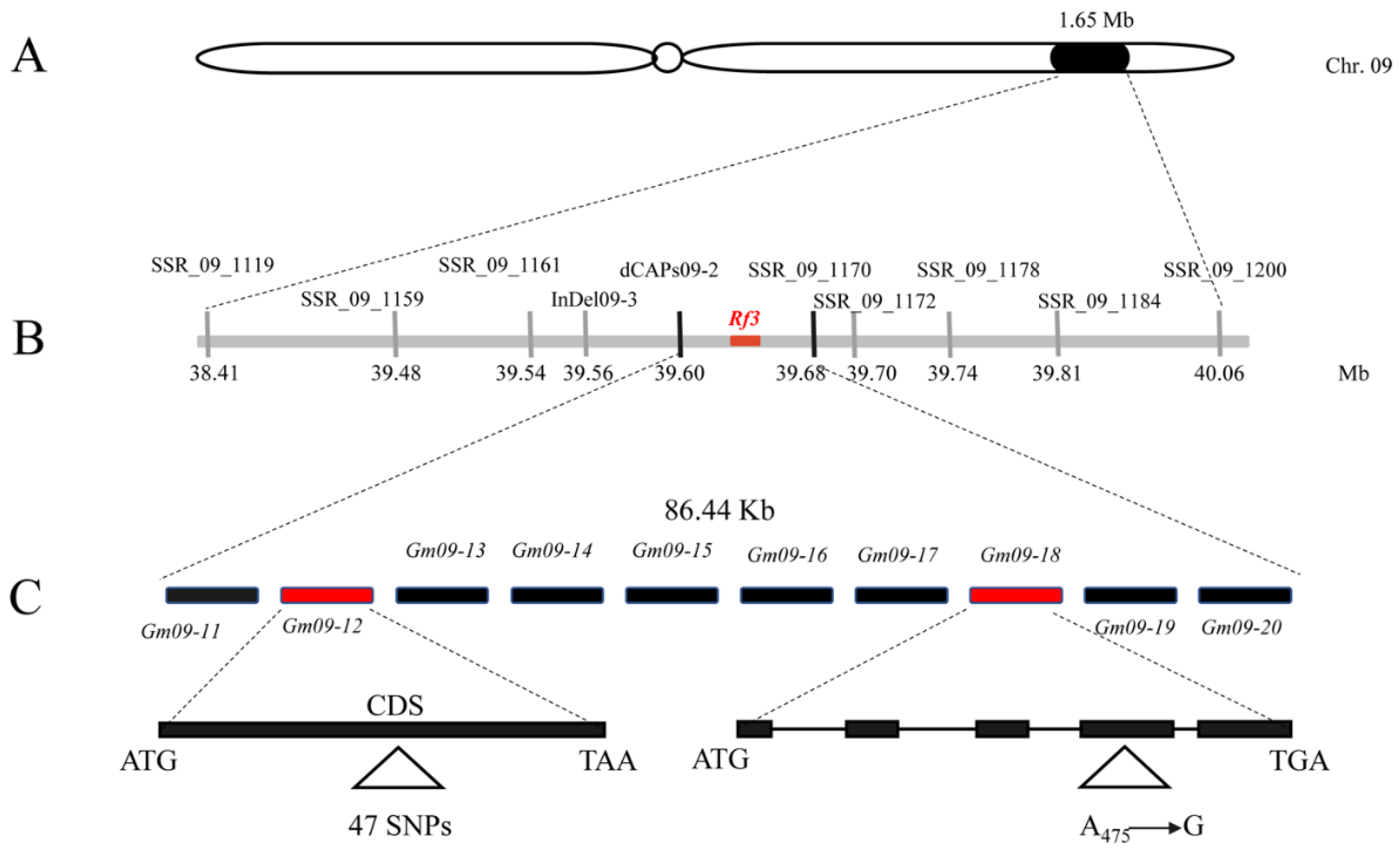 Ijms 23 05388 g004 550