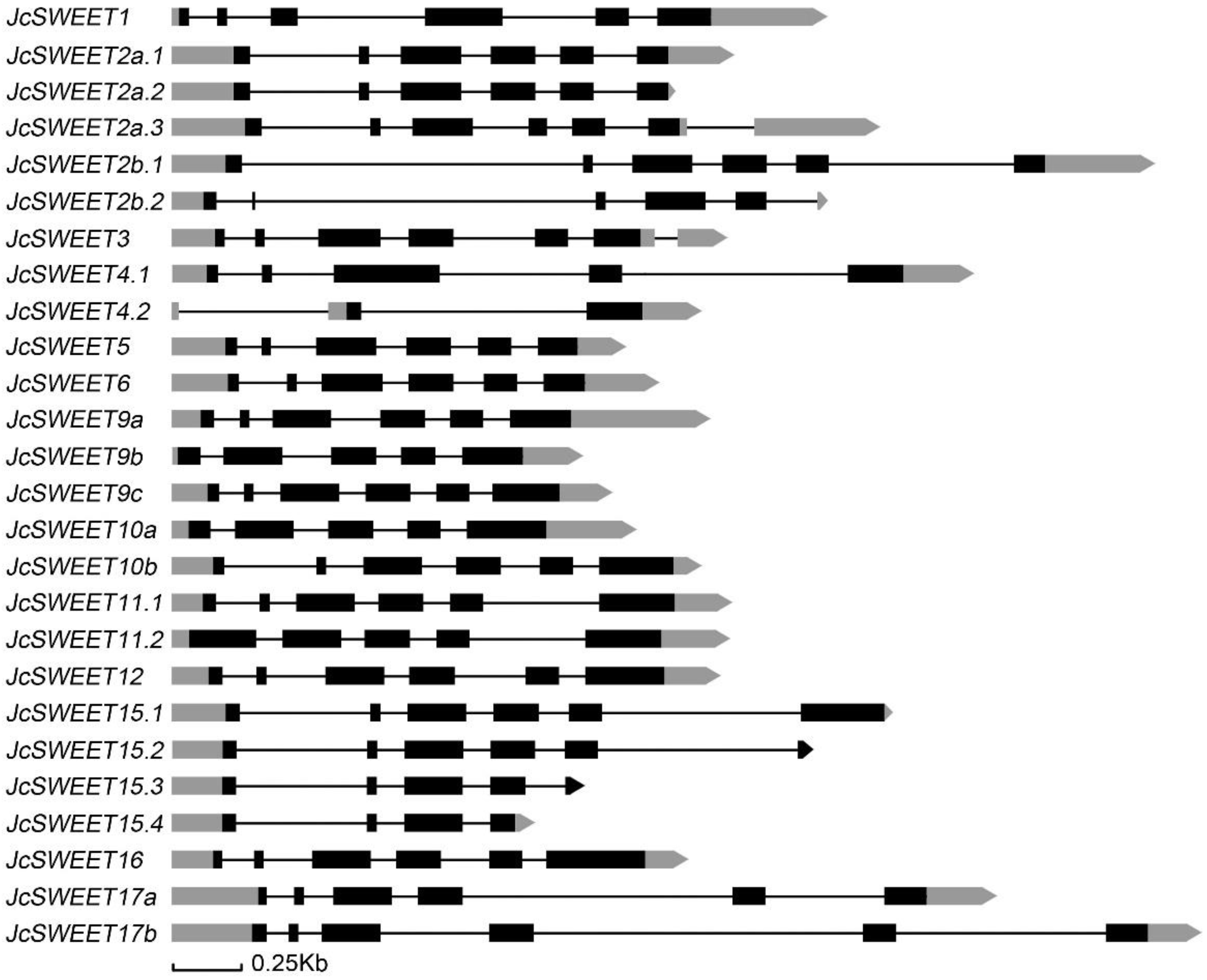 Ijms 23 05391 g002 550