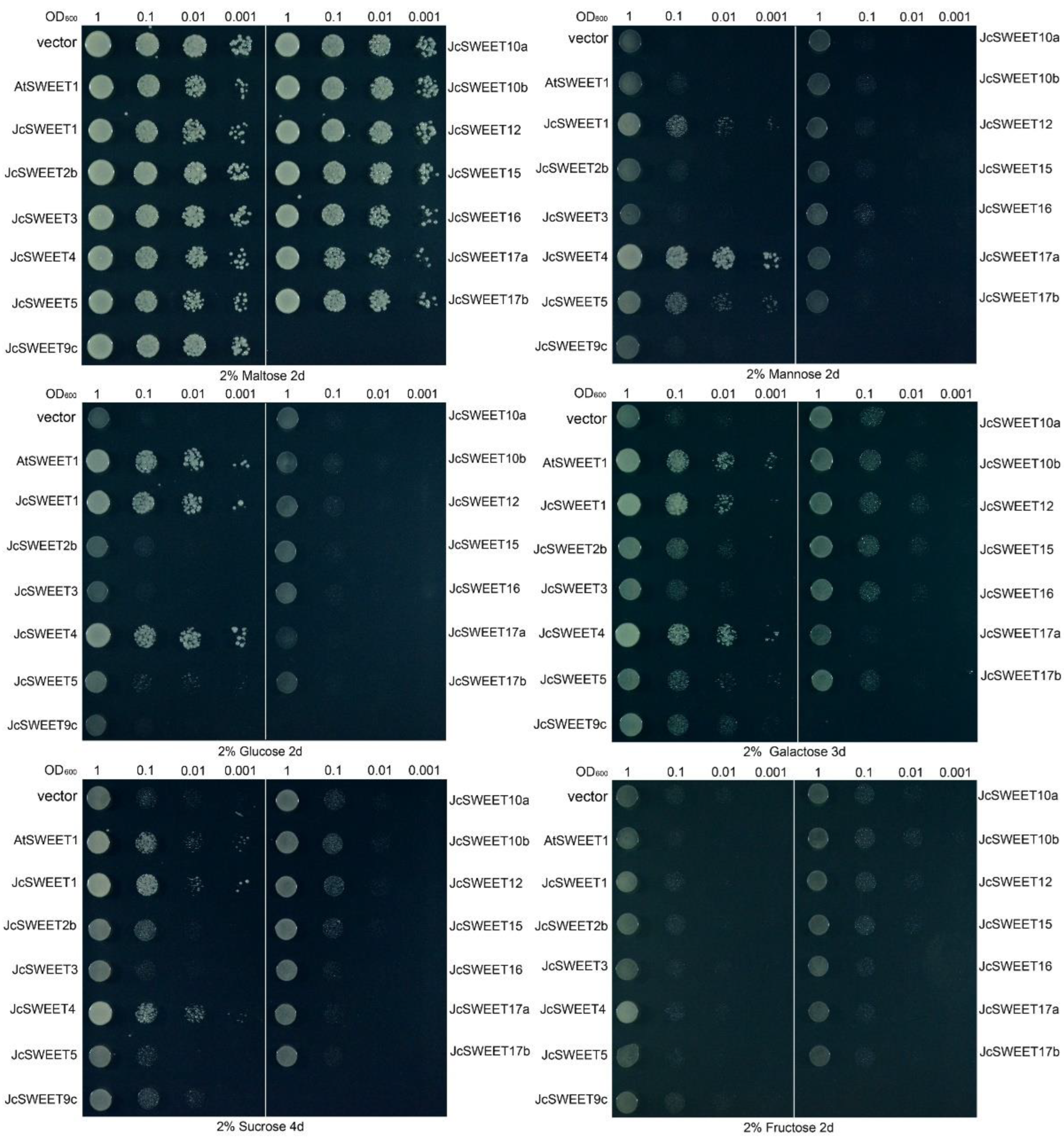 Ijms 23 05391 g006 550