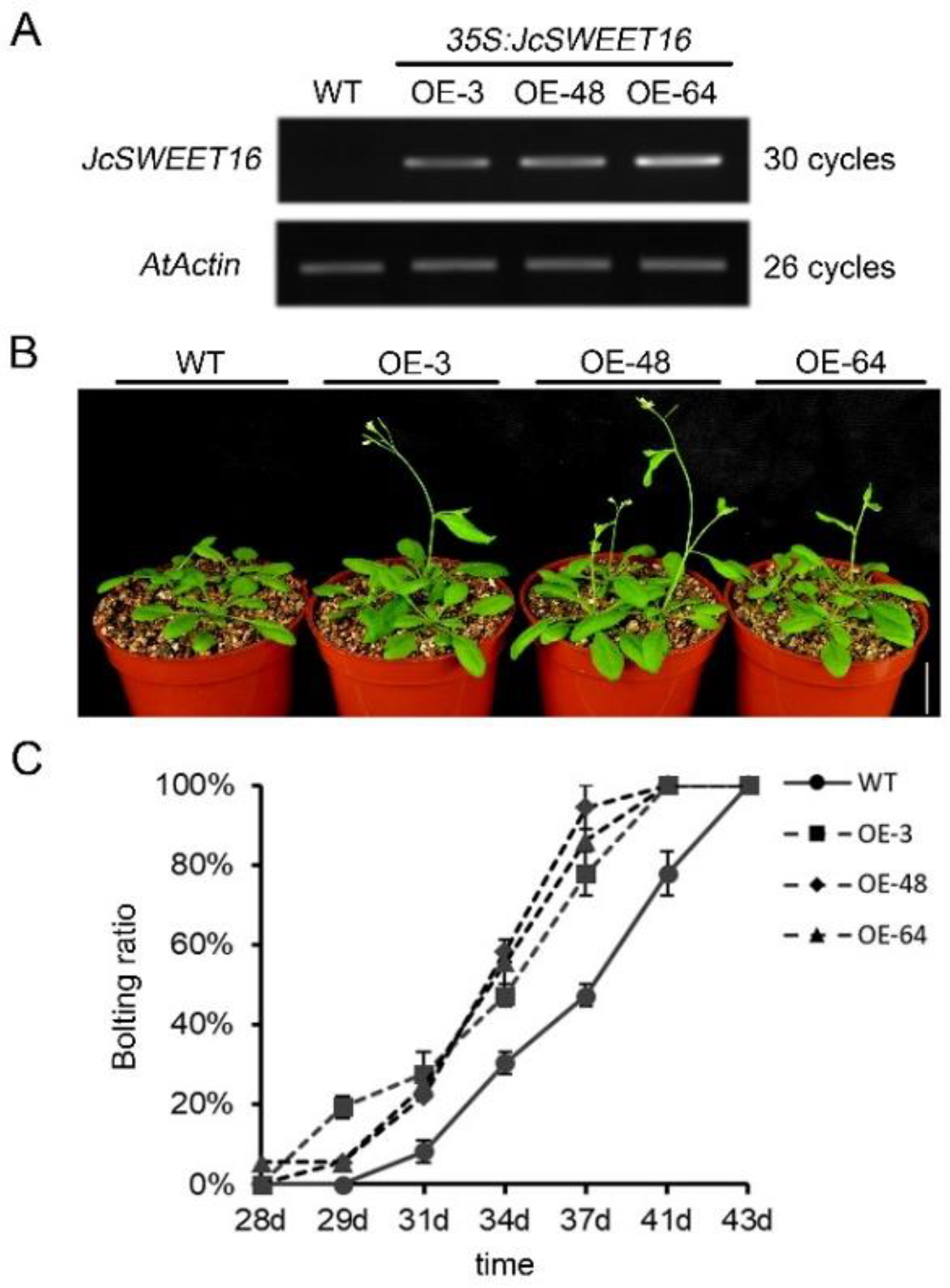 Ijms 23 05391 g008 550