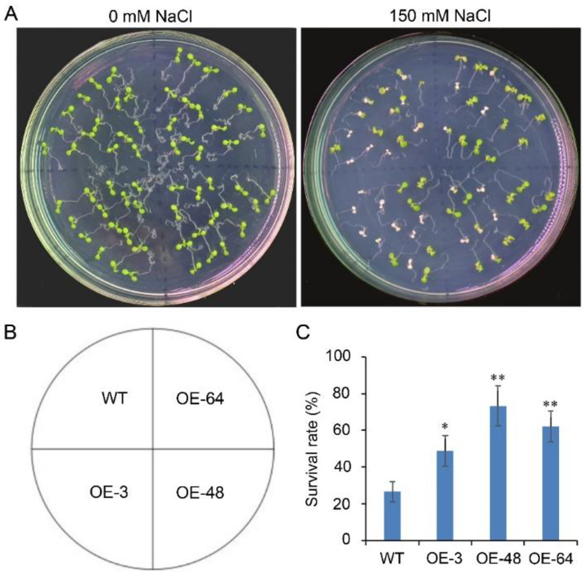 Ijms 23 05391 g009 550