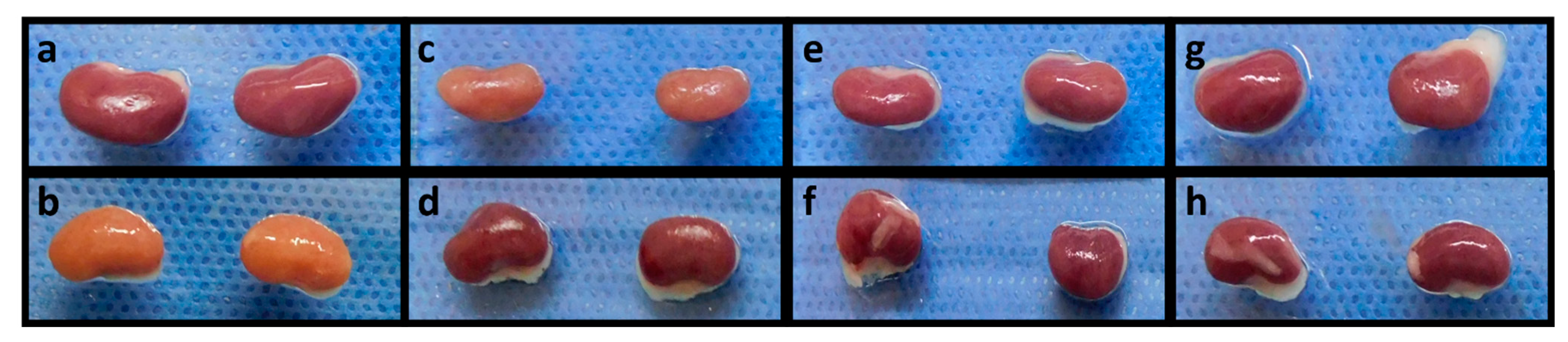 Ijms 23 05392 g004 Ijms 23 05392 g004