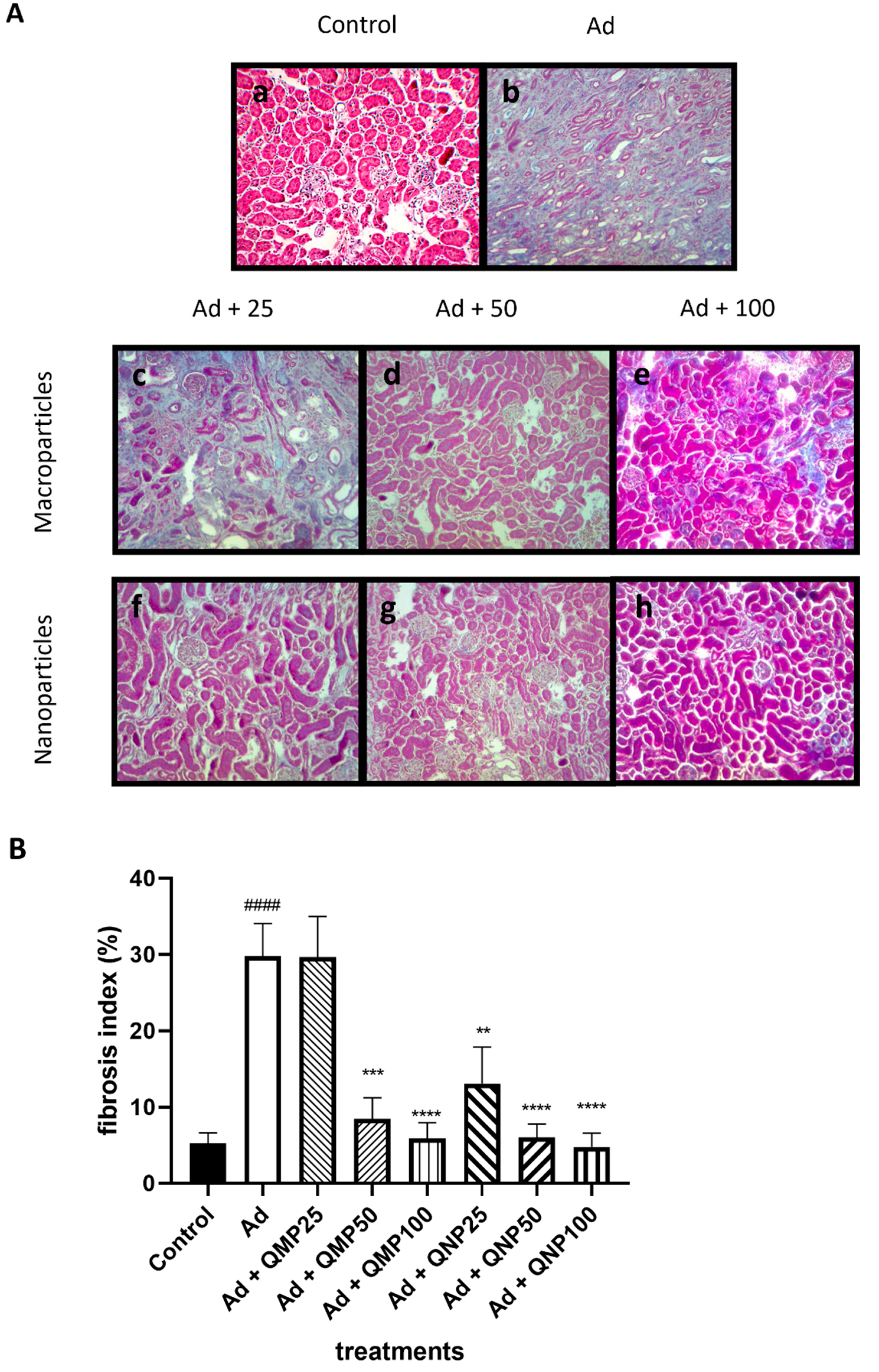Ijms 23 05392 g006 Ijms 23 05392 g006