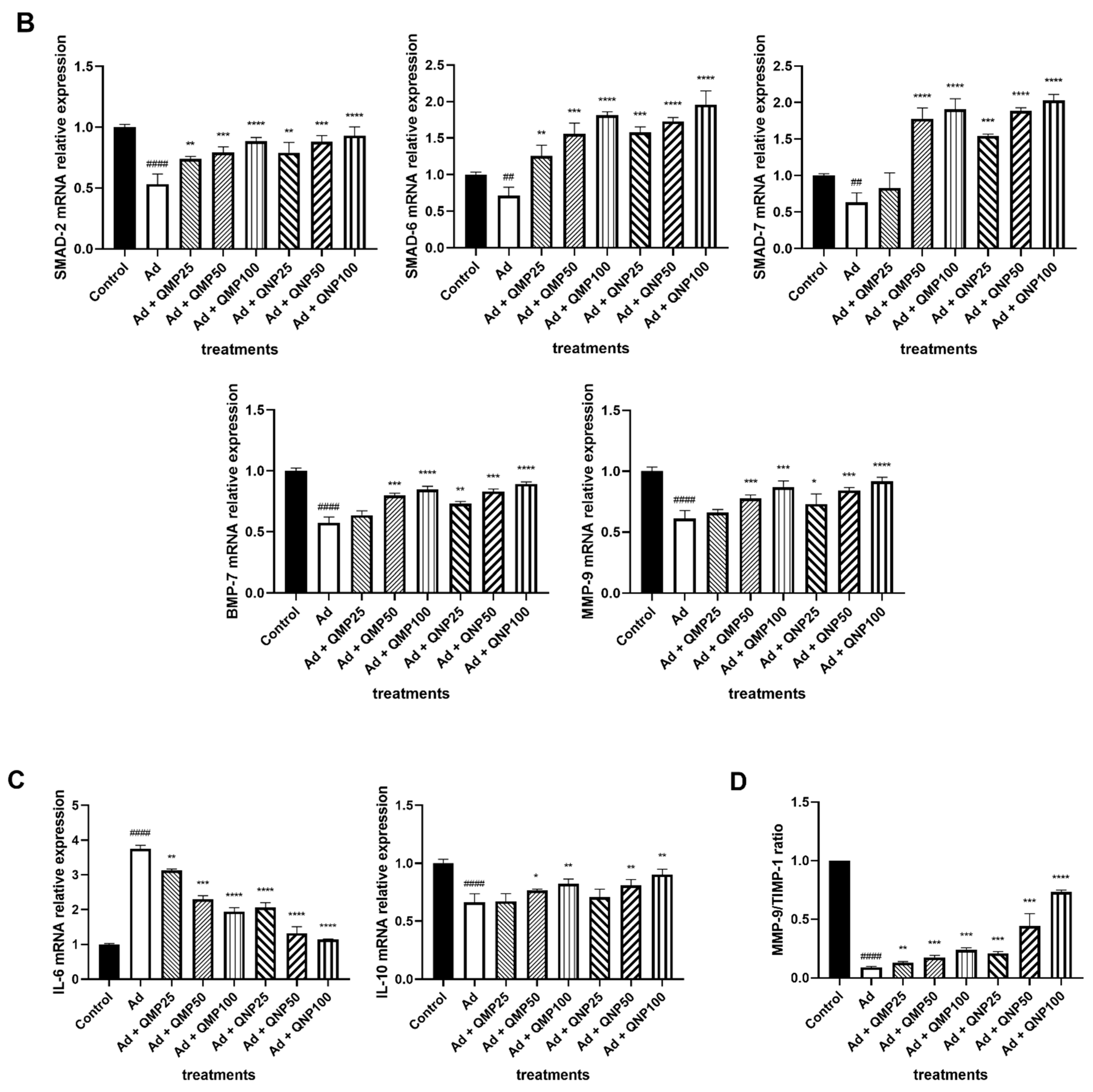 Ijms 23 05392 g007b Ijms 23 05392 g007b