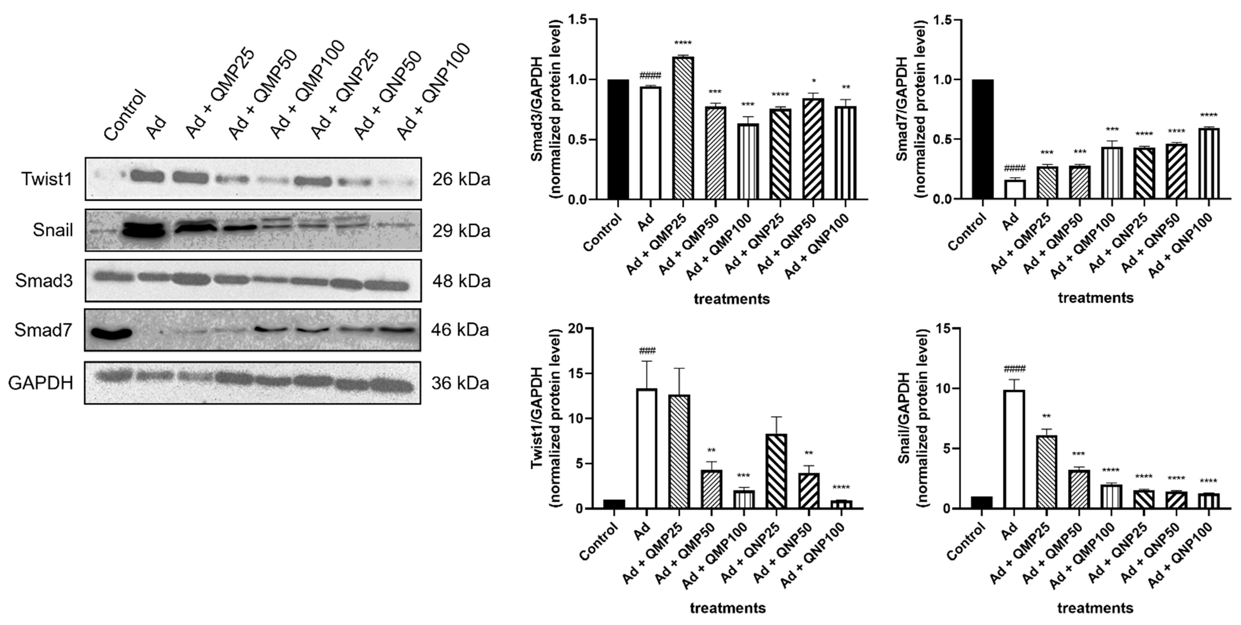 Ijms 23 05392 g008 Ijms 23 05392 g008
