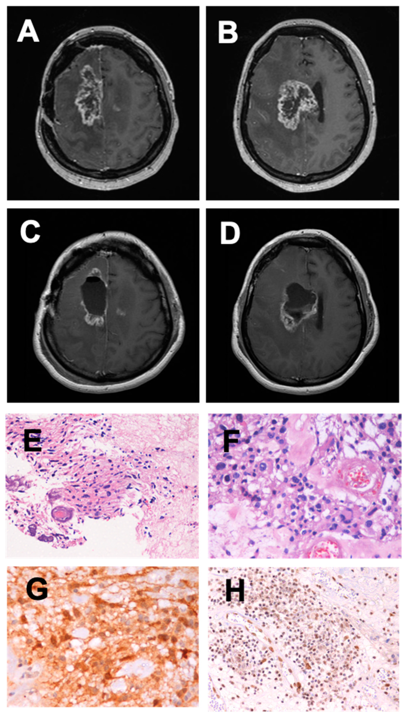 Ijms 23 05396 g001 550