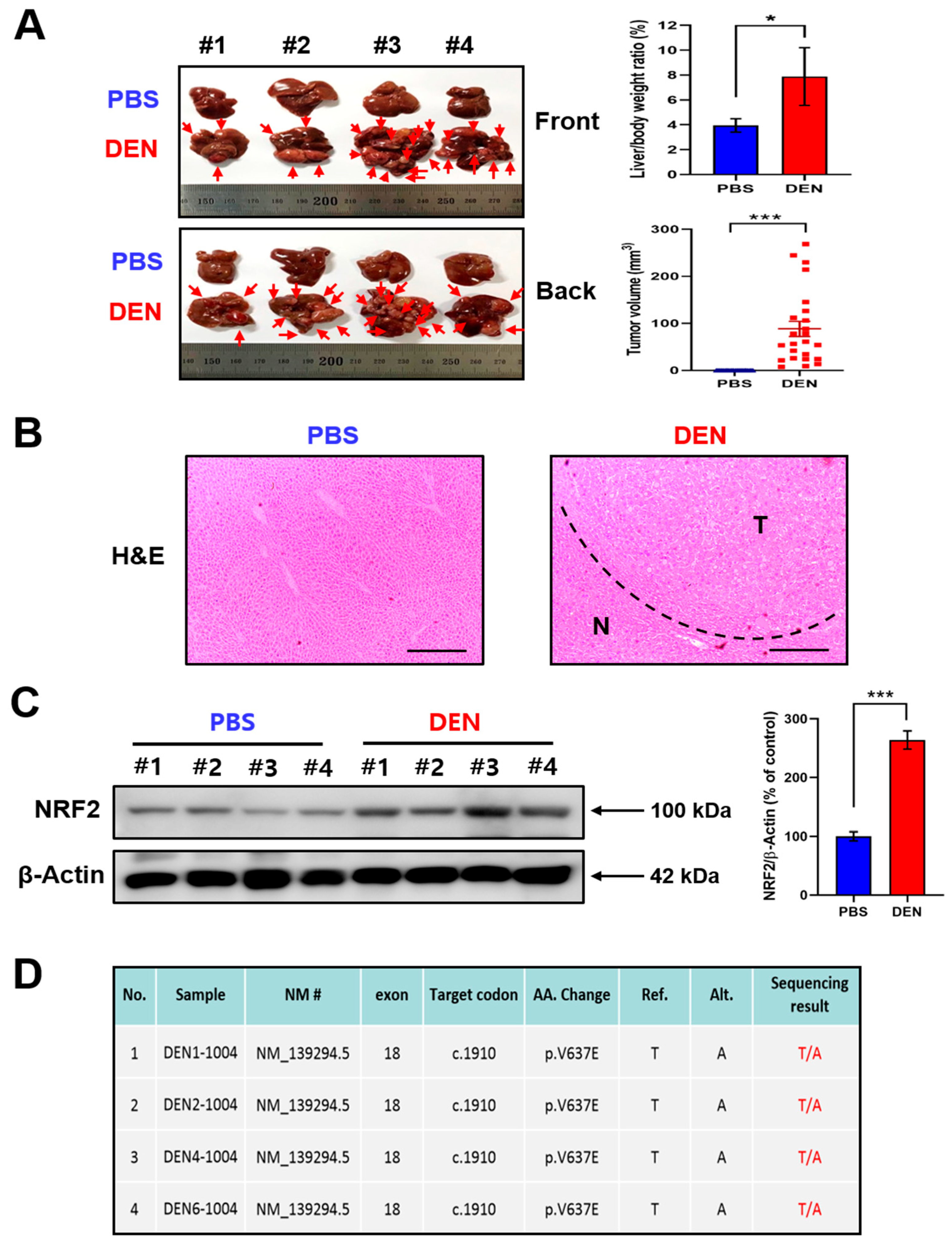 Ijms 23 05397 g001 Ijms 23 05397 g001