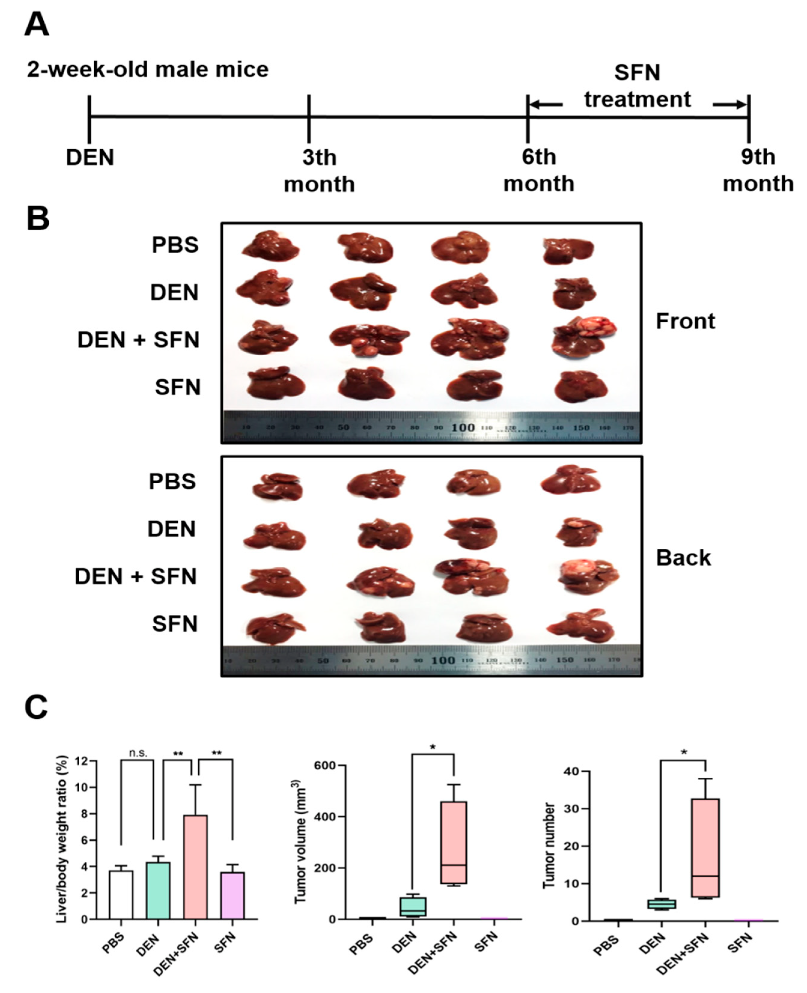 Ijms 23 05397 g002 Ijms 23 05397 g002