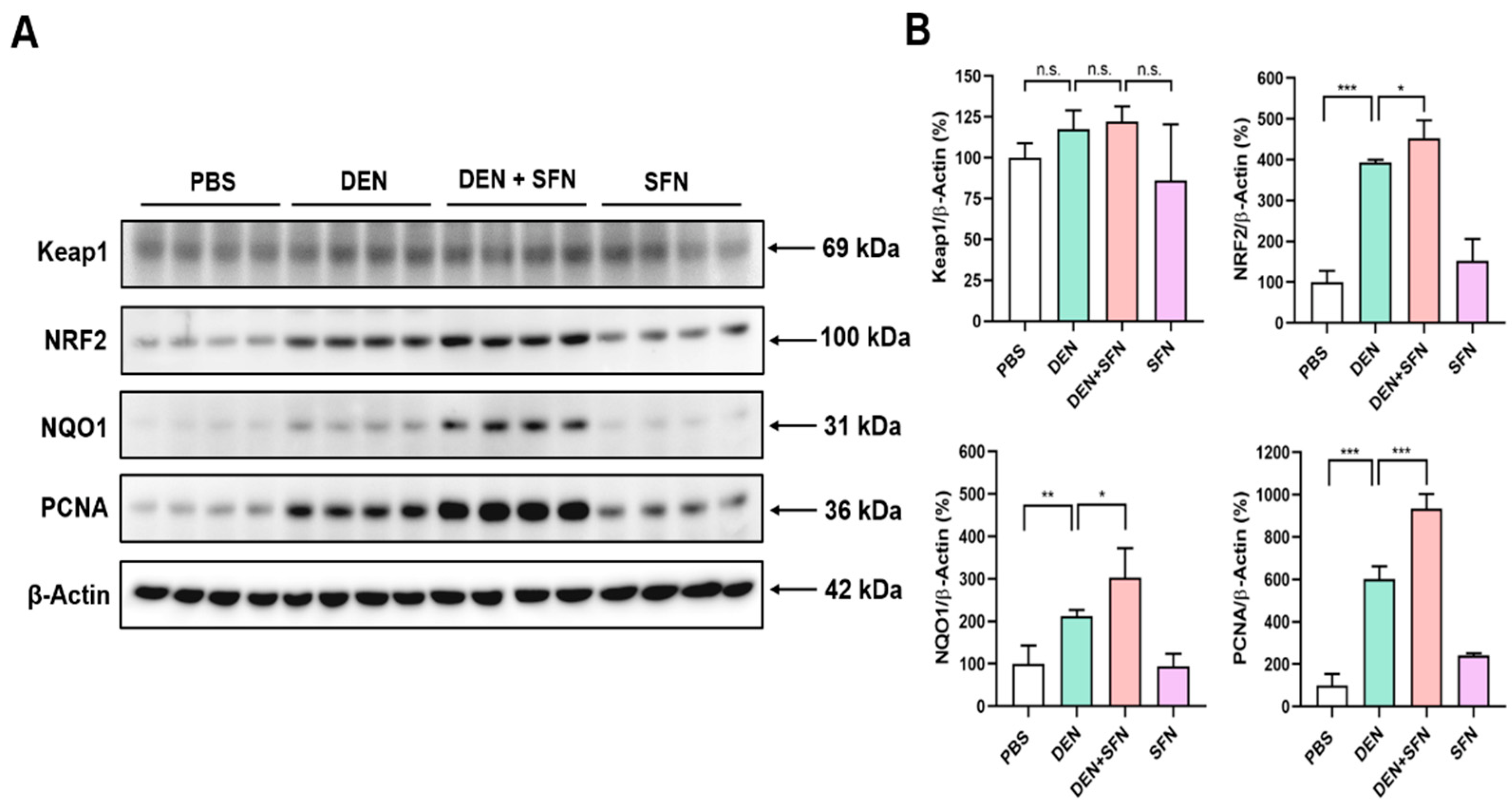 Ijms 23 05397 g003 Ijms 23 05397 g003