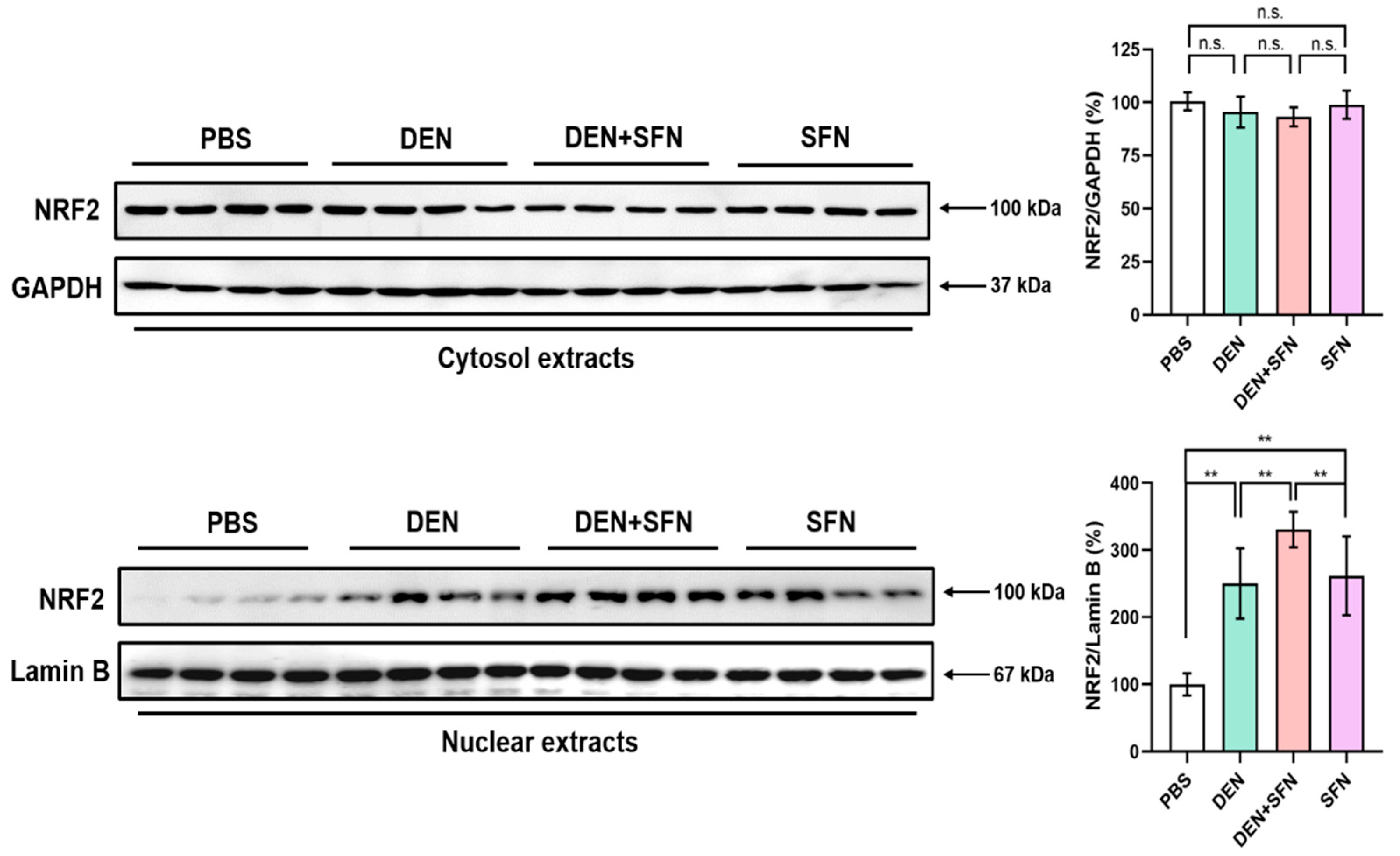 Ijms 23 05397 g005 Ijms 23 05397 g005