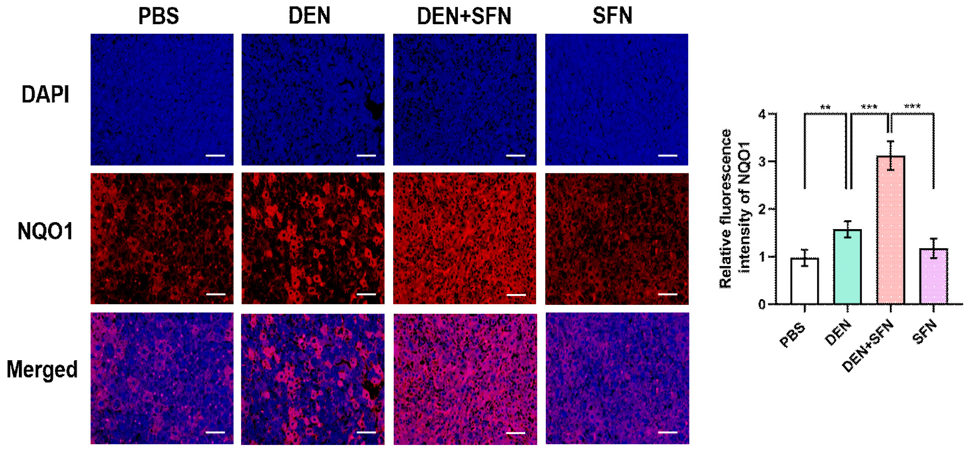 Ijms 23 05397 g006 Ijms 23 05397 g006