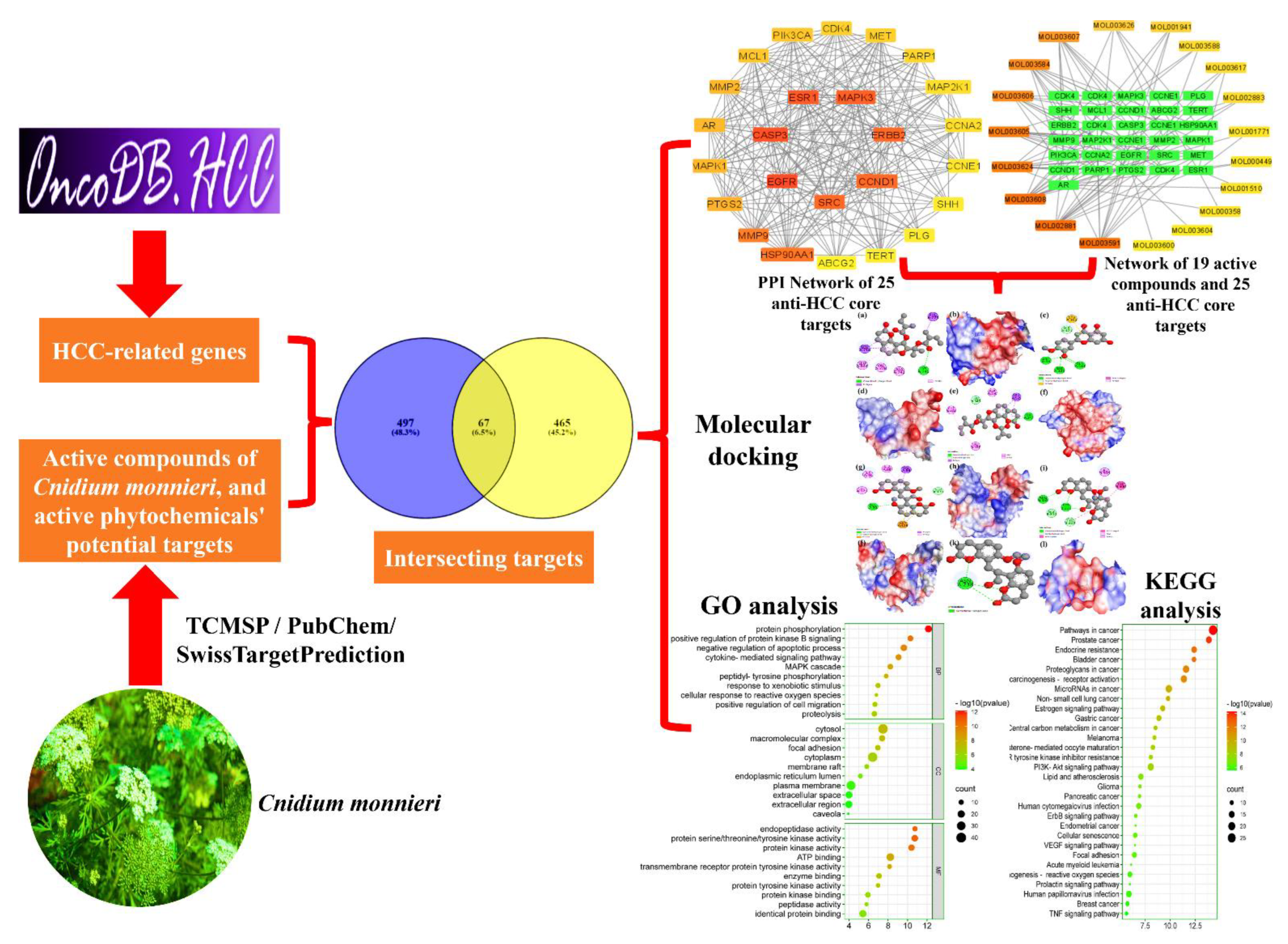 Ijms 23 05400 g001 550