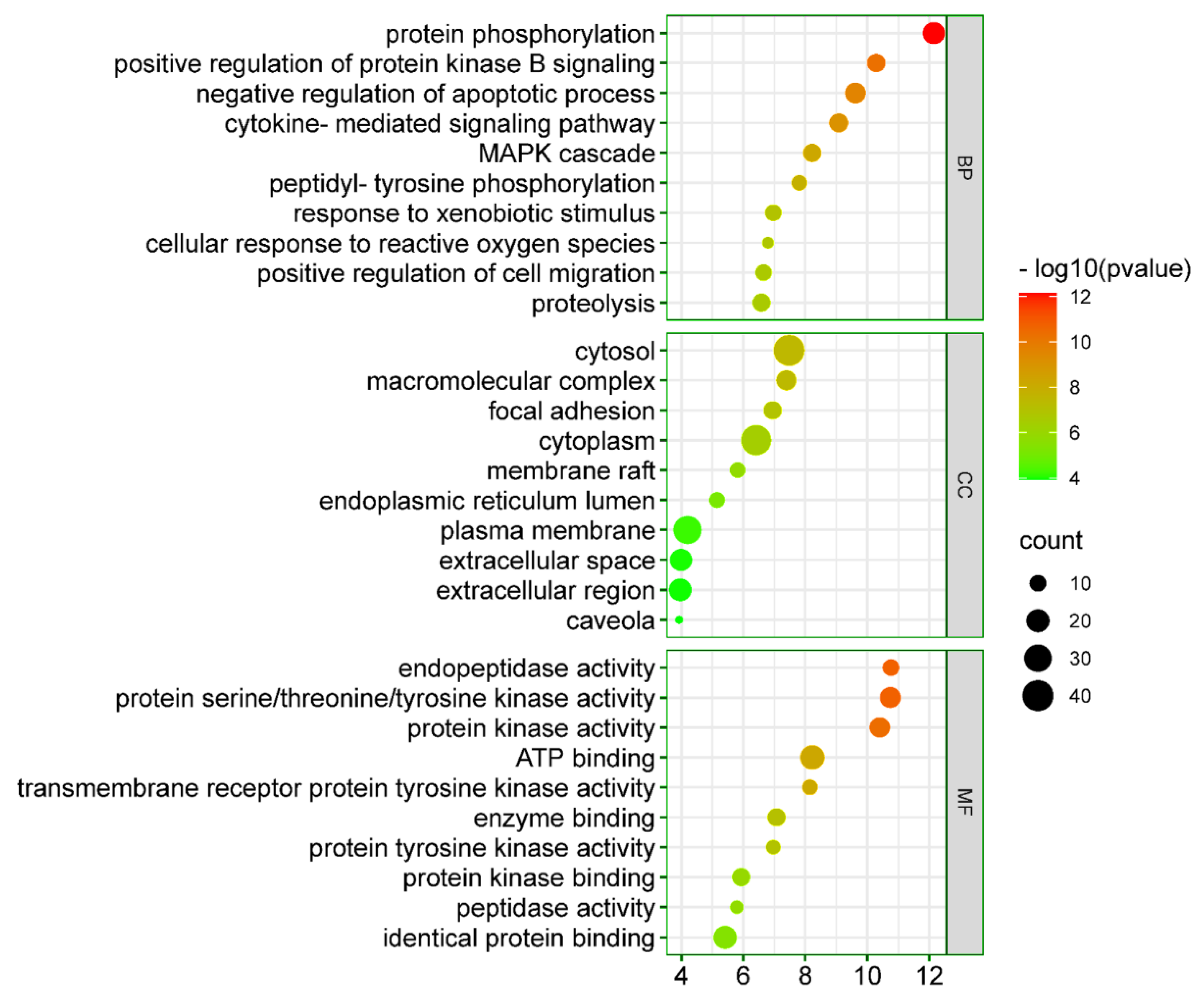Ijms 23 05400 g007 550