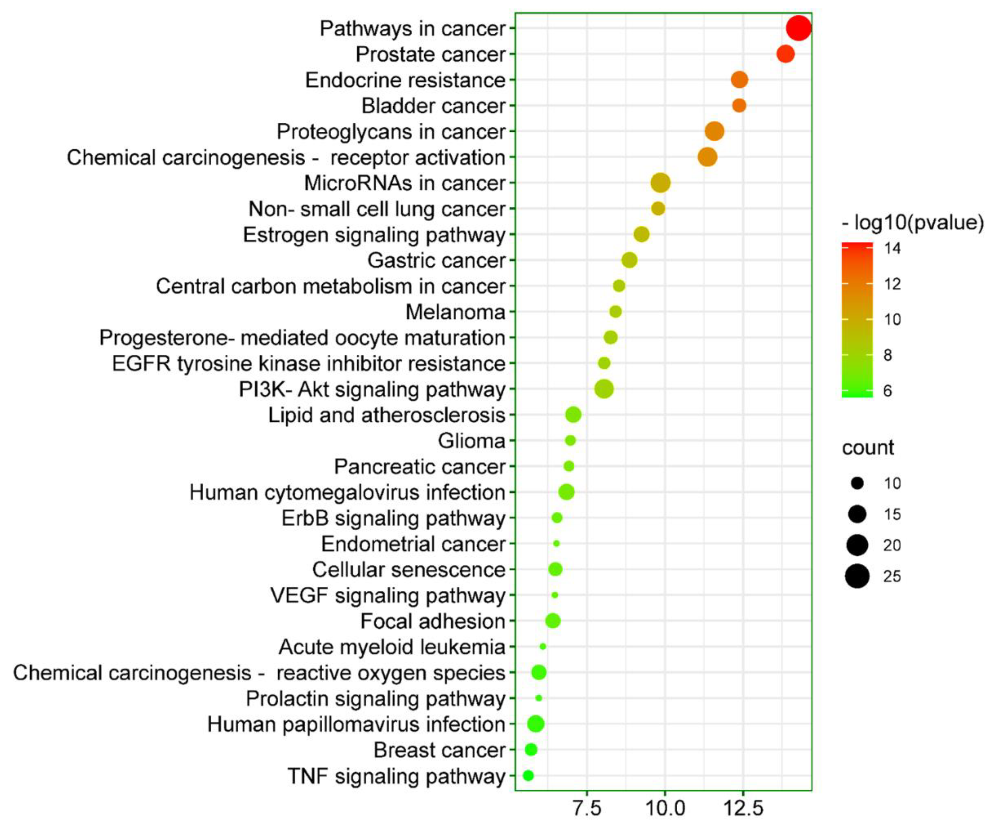 Ijms 23 05400 g008 550
